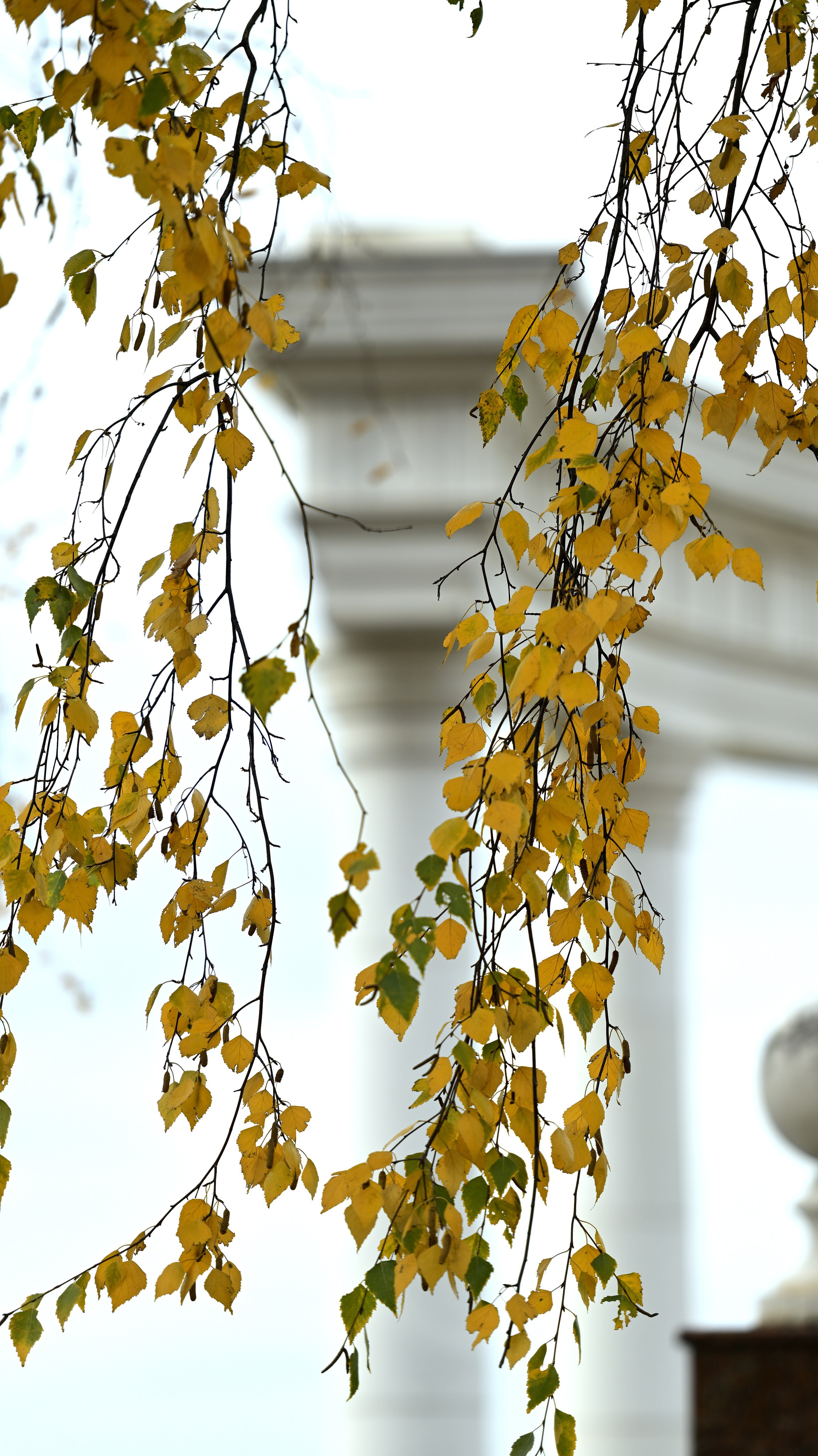 Ижевск. Сергей Люльченко фотоальбом