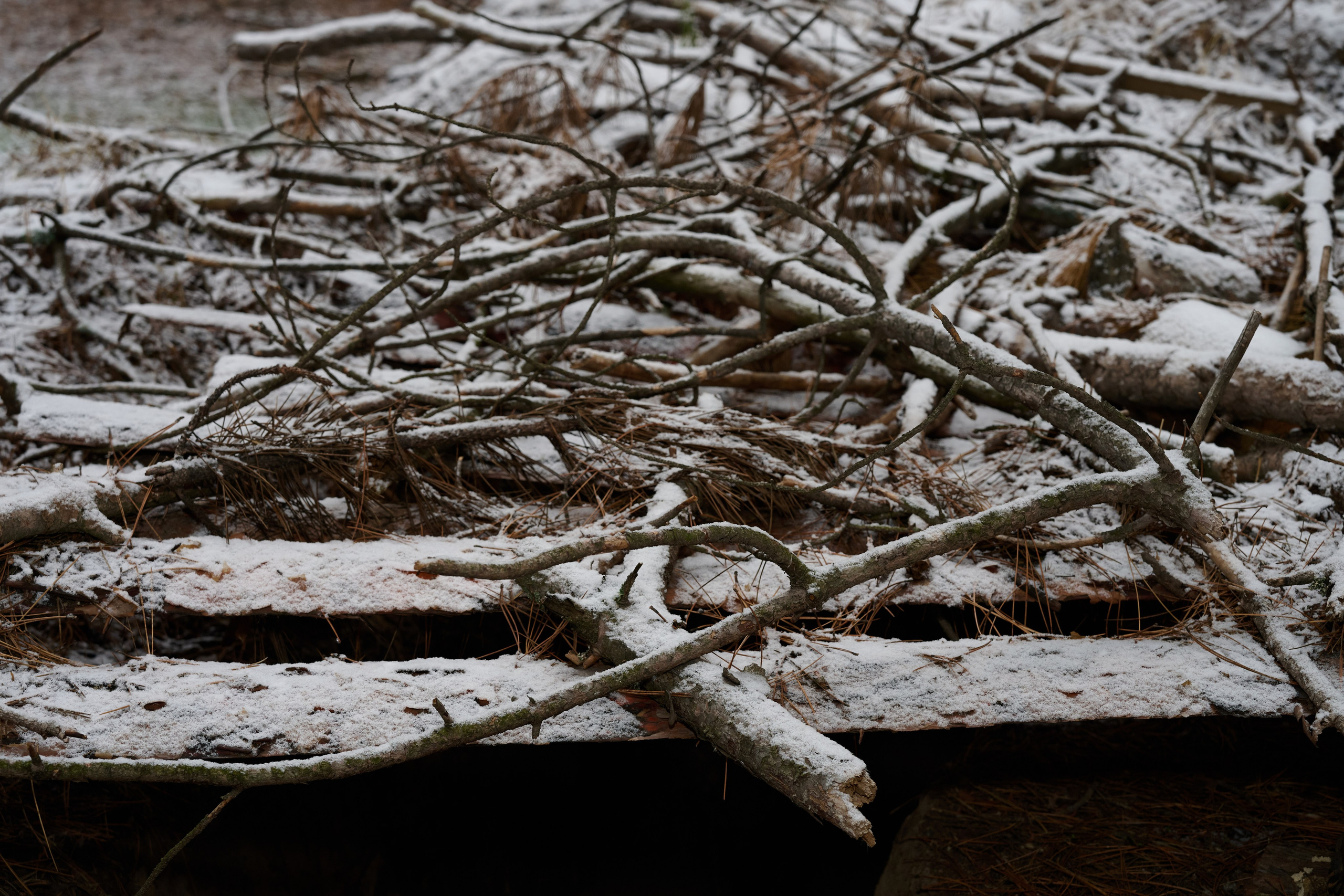 Фото для презентации фотопроекта «Территории». Фотопроект «Территории»