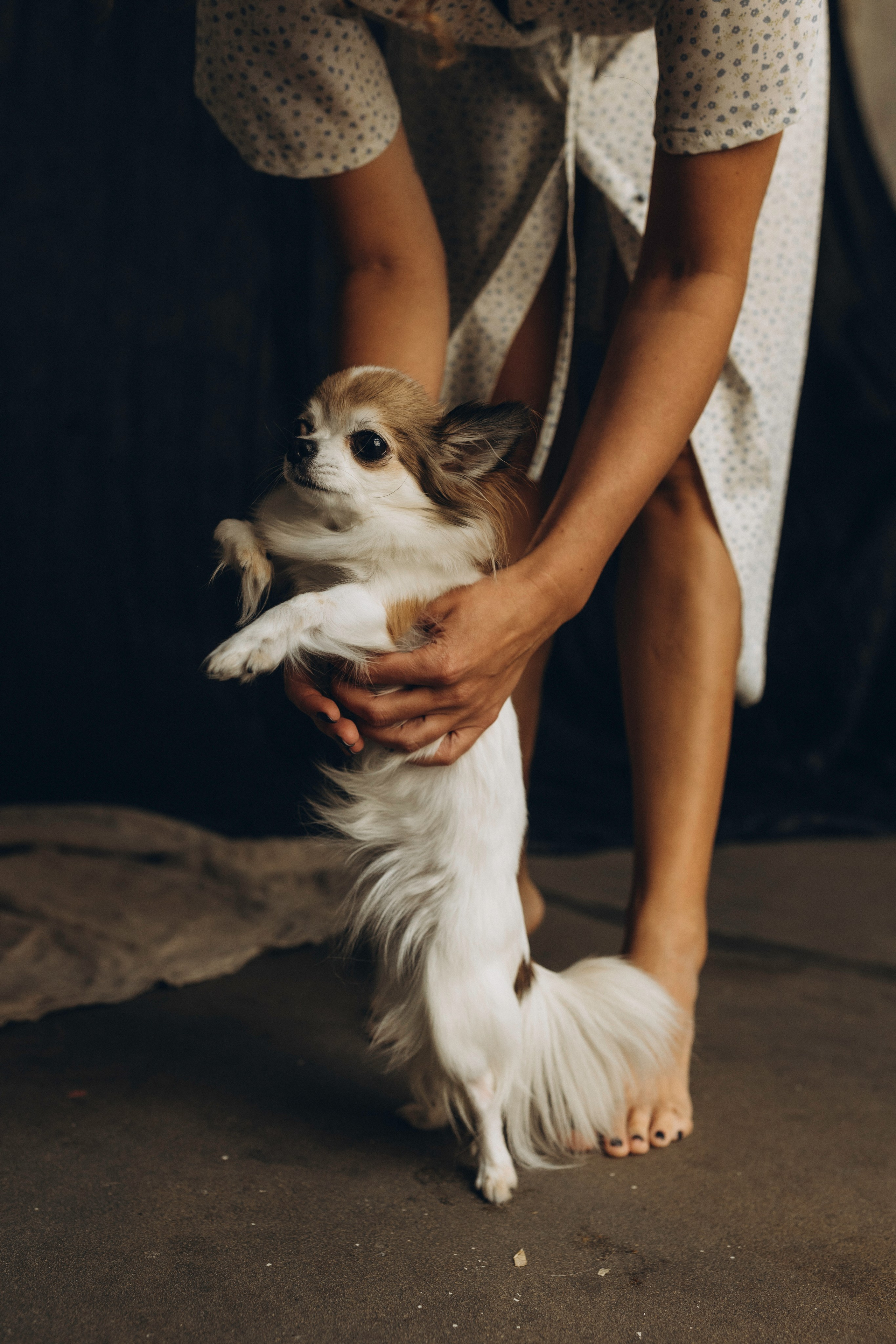 Габриела и ее хвостики. Татьяна Афонина | Фотограф