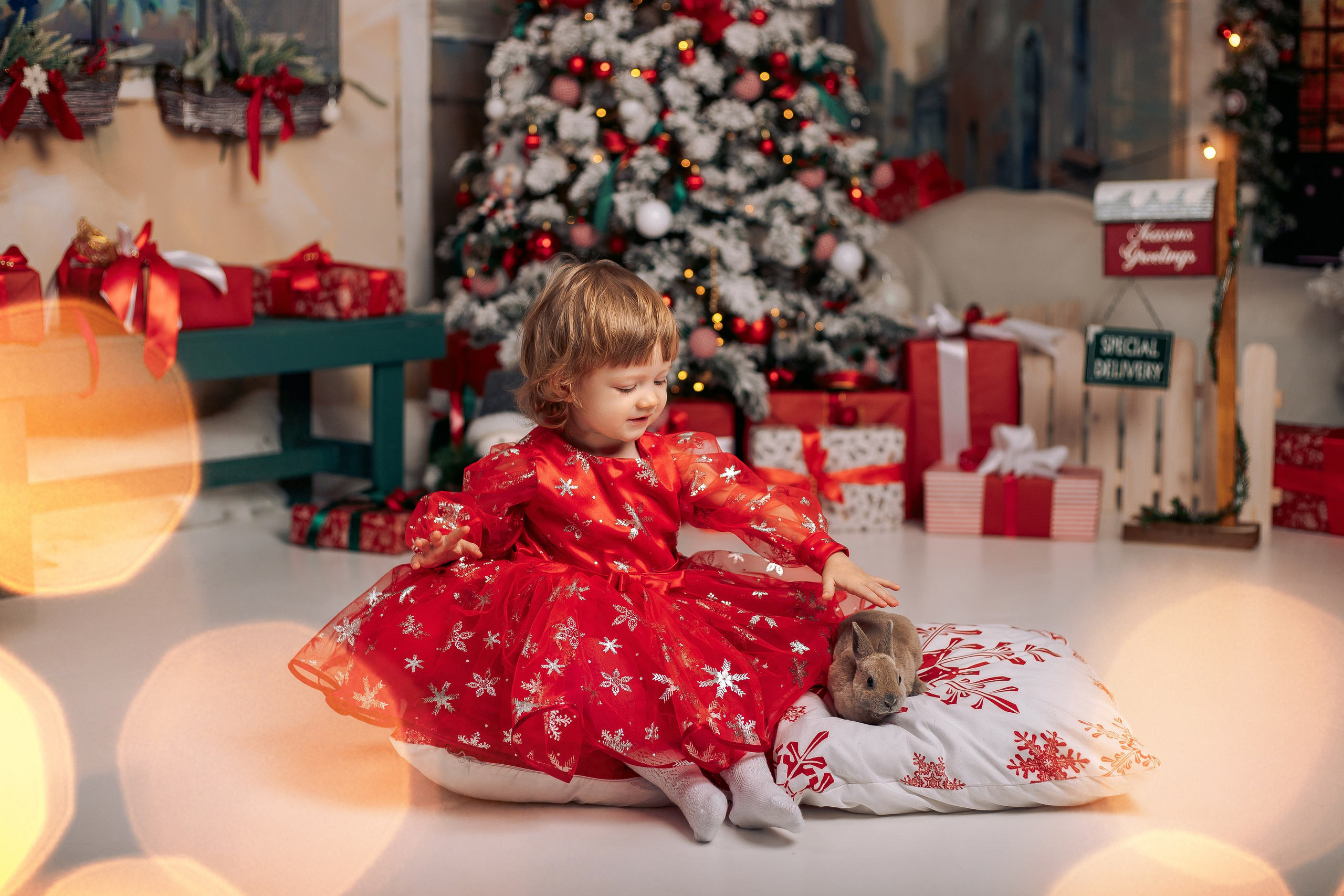 Новогодняя фотосессия фотодень спб с кроликами. Фотограф в Санкт-Петербурге, Анна Скворцова