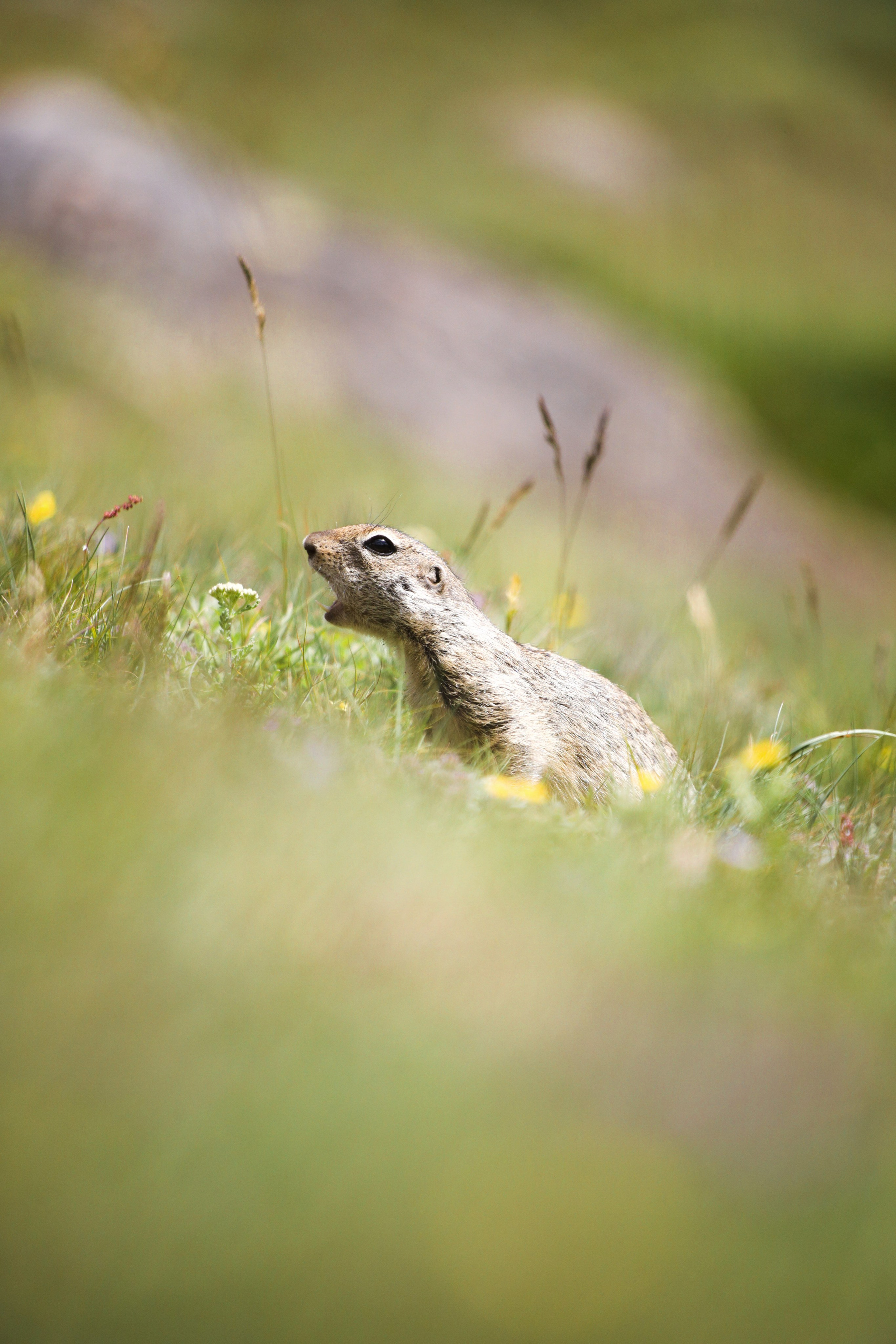 Природа. Глеб Захаренко — спортивный и репортажный фотограф в Крыму