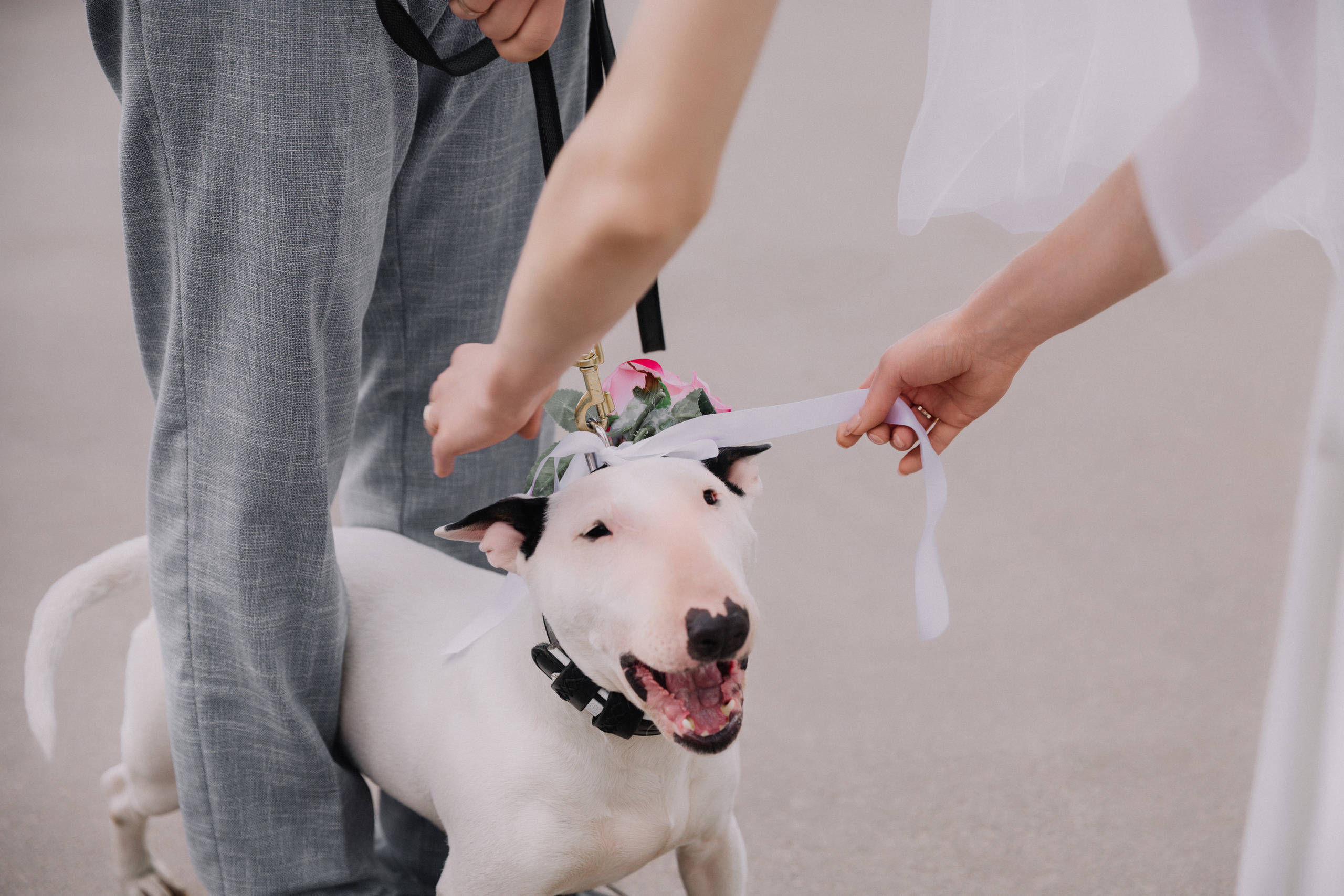 Стас и Катерина. Семейный и Детский фотограф г. Москва, г. Борисоглебск
