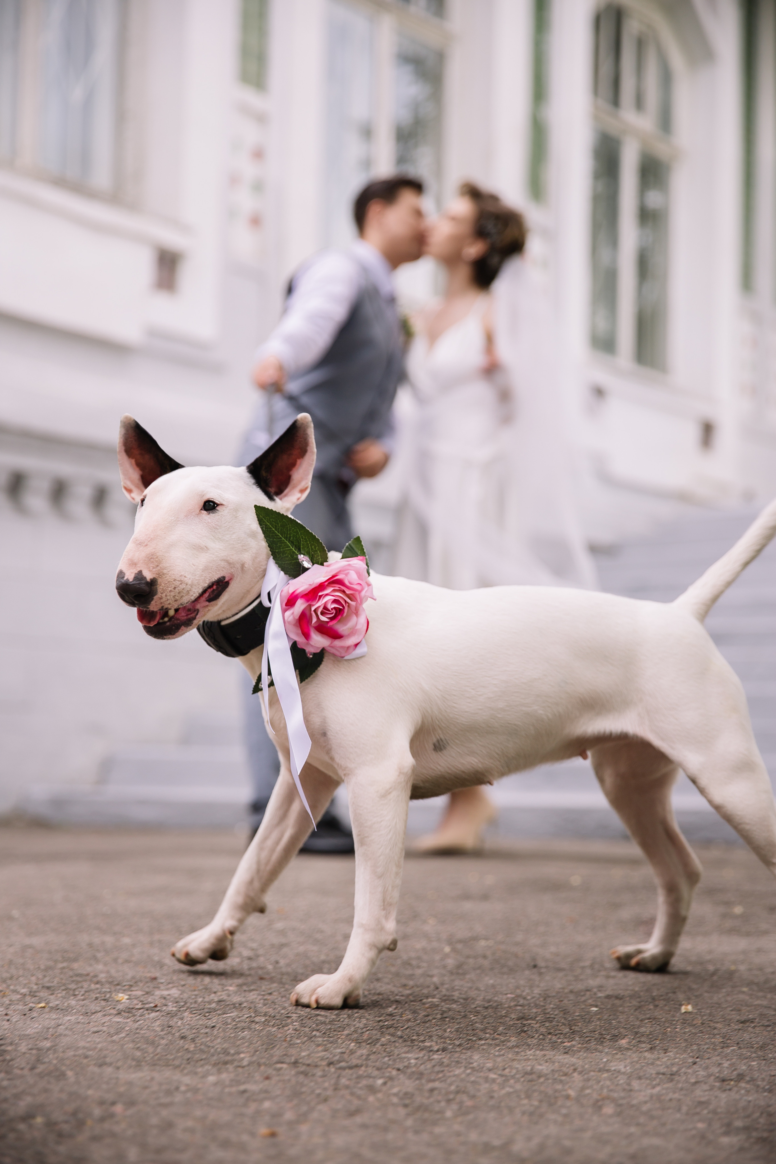 Стас и Катерина. Семейный и Детский фотограф г. Москва, г. Борисоглебск