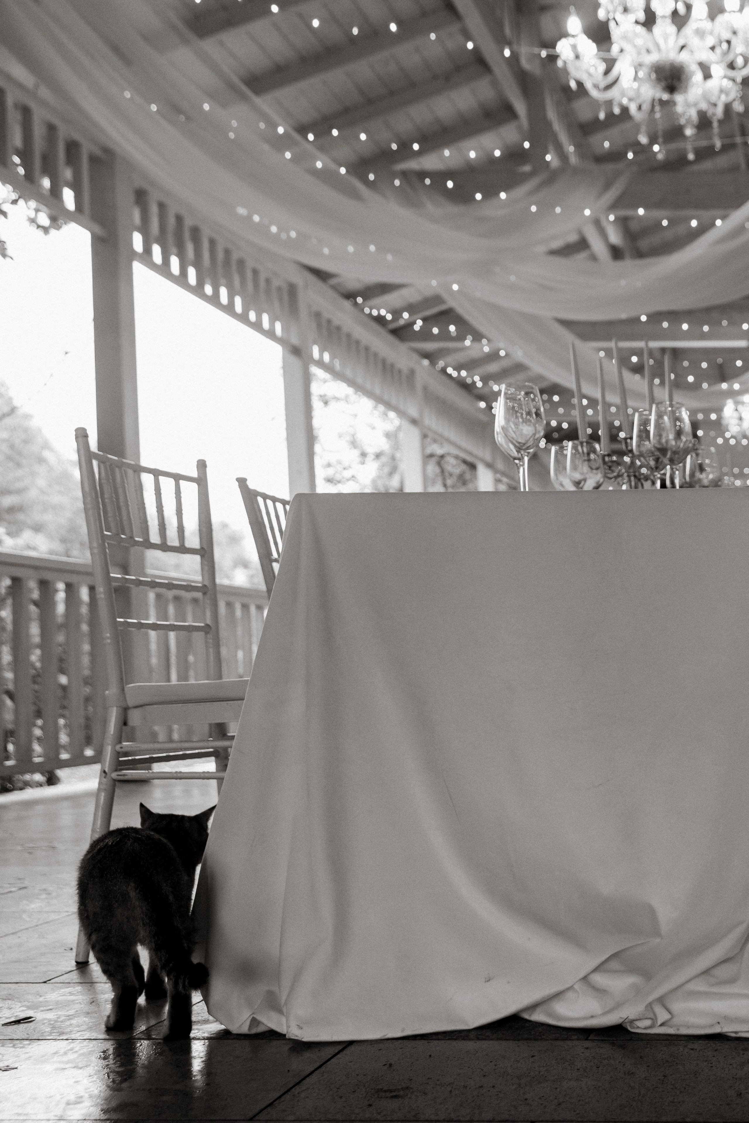 Wa. Свадебное фото и видео в Липецке. Павел Покидов, Елена Покидова