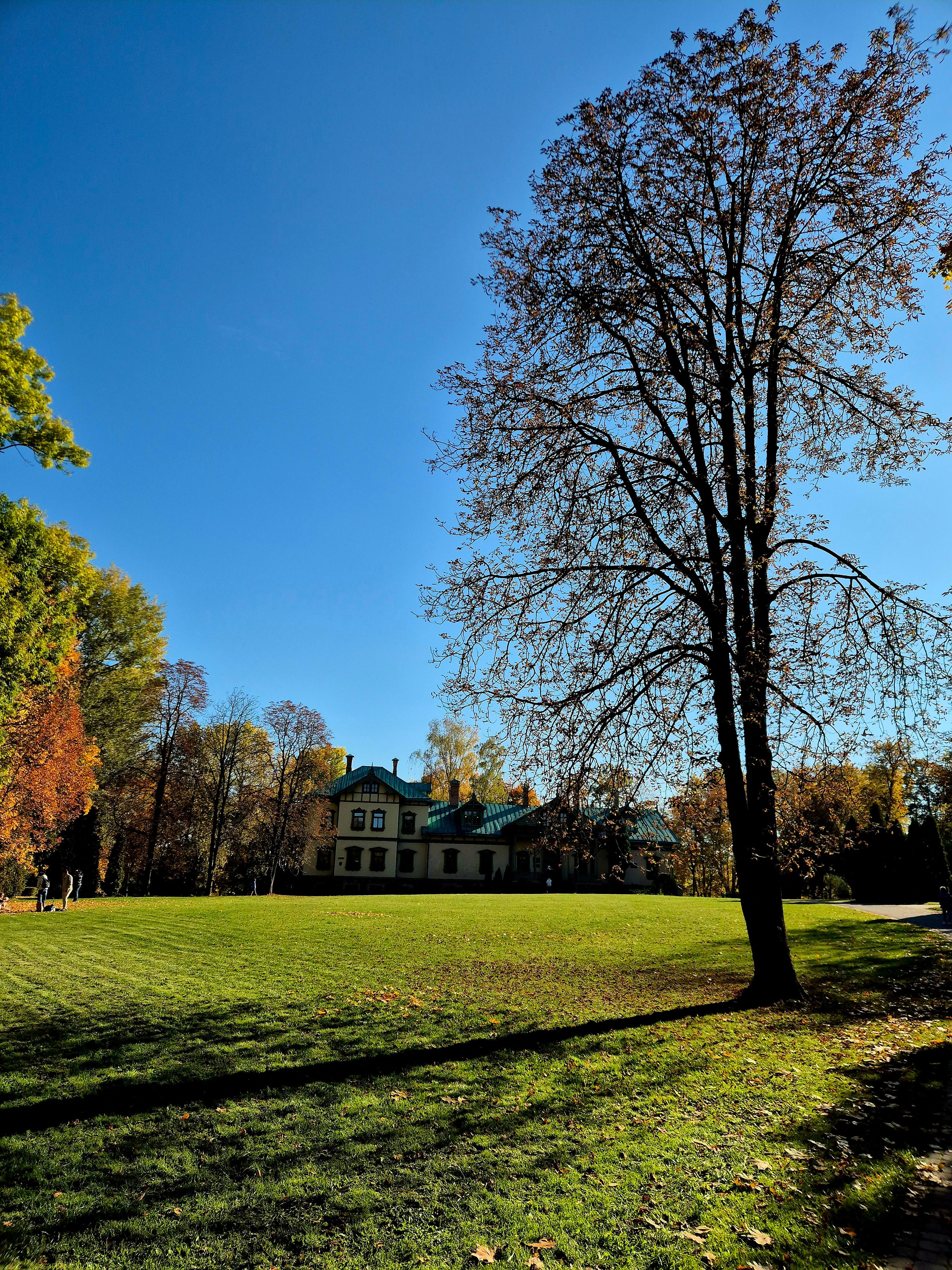 Лужайка перед усадьбой