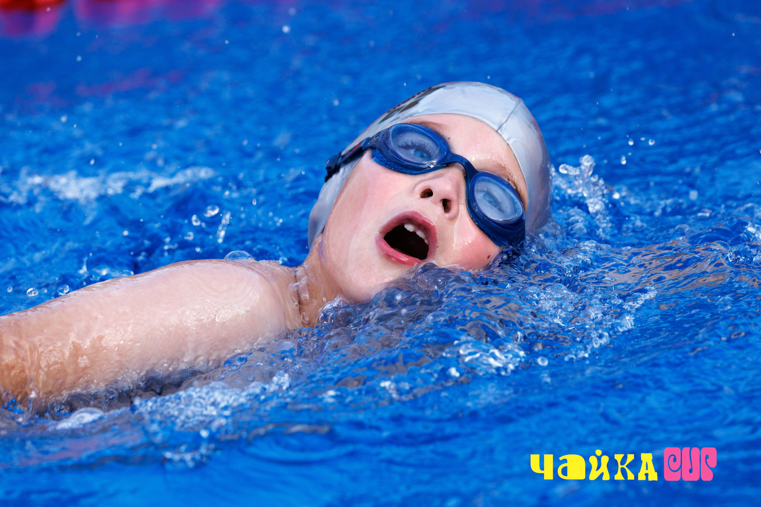 Чайка Cup / II этап. Спортивный фотограф Алексей Соломин