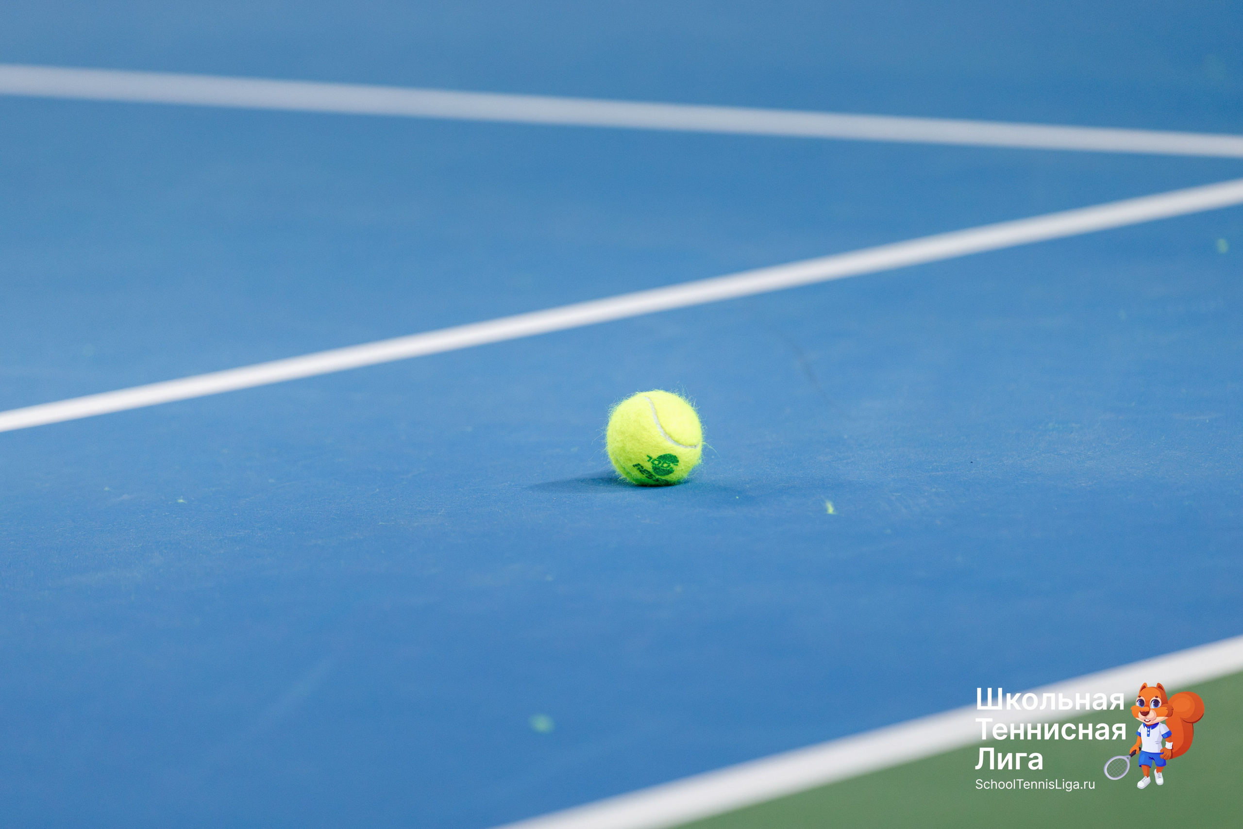 Турнир ШТЛ в Видном. Спортивный фотограф Алексей Соломин