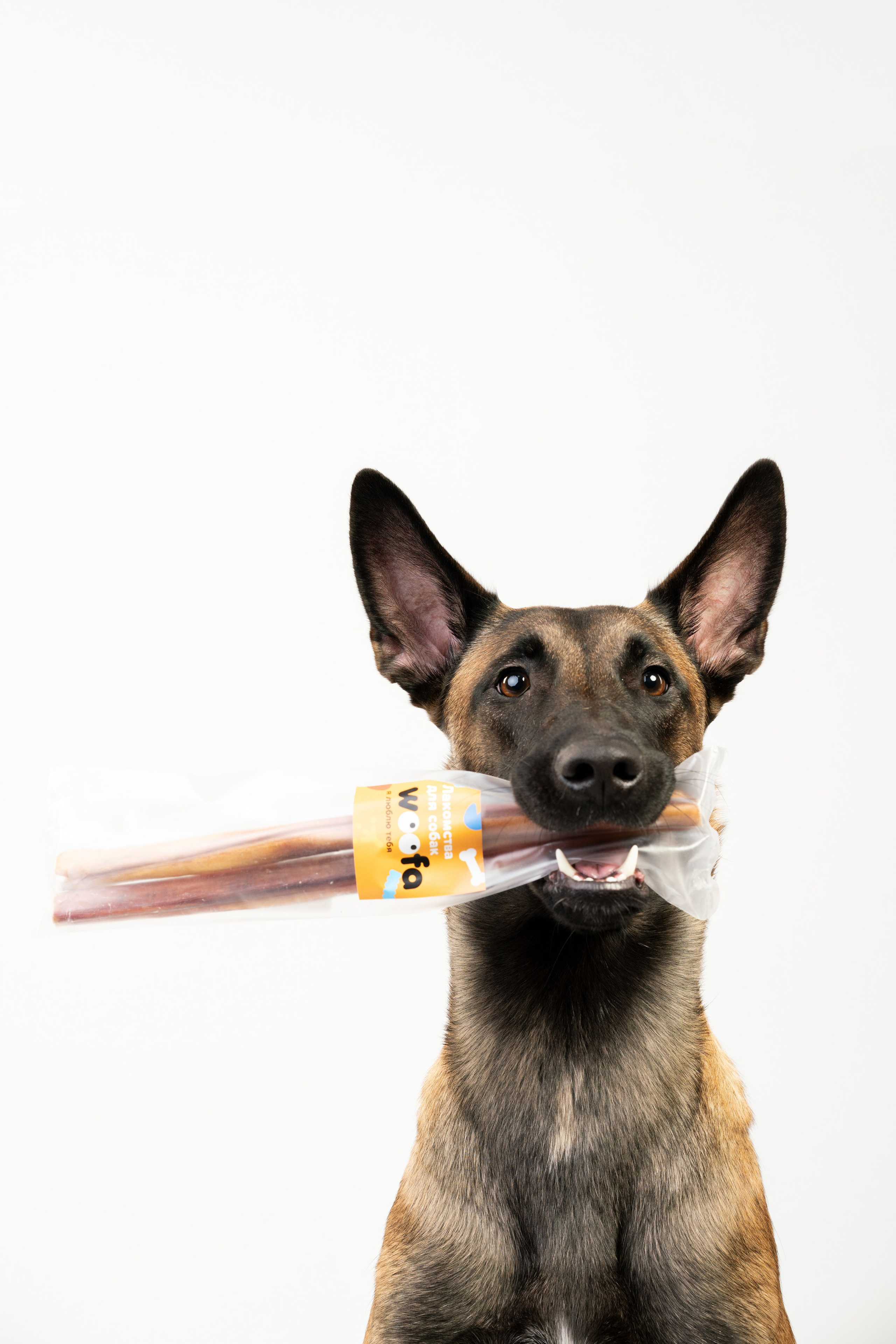 Лакомства Woofa. Фотограф анималист Осипчикова Мария