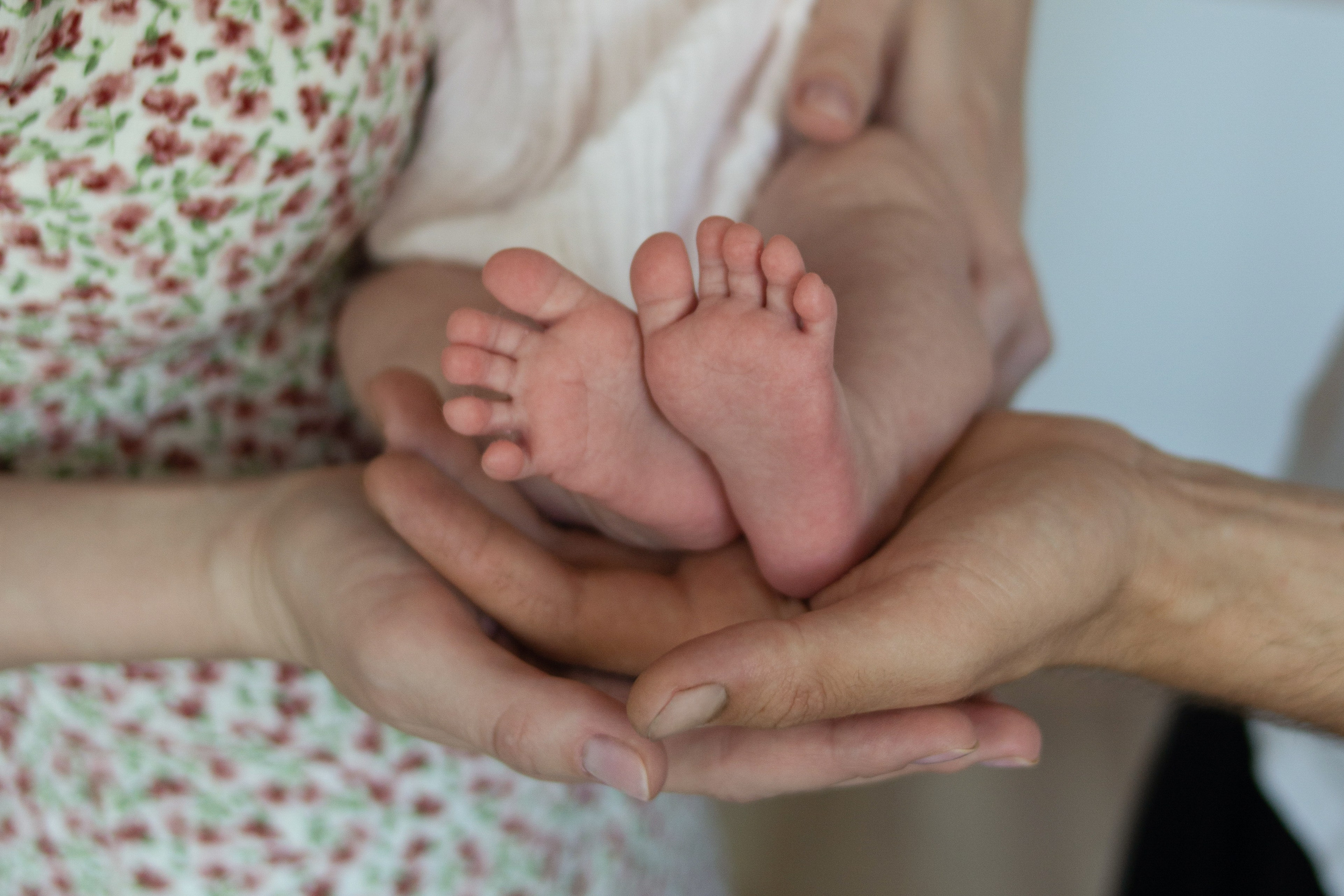 Домашняя. Фотограф Софья Власенко | Вологда