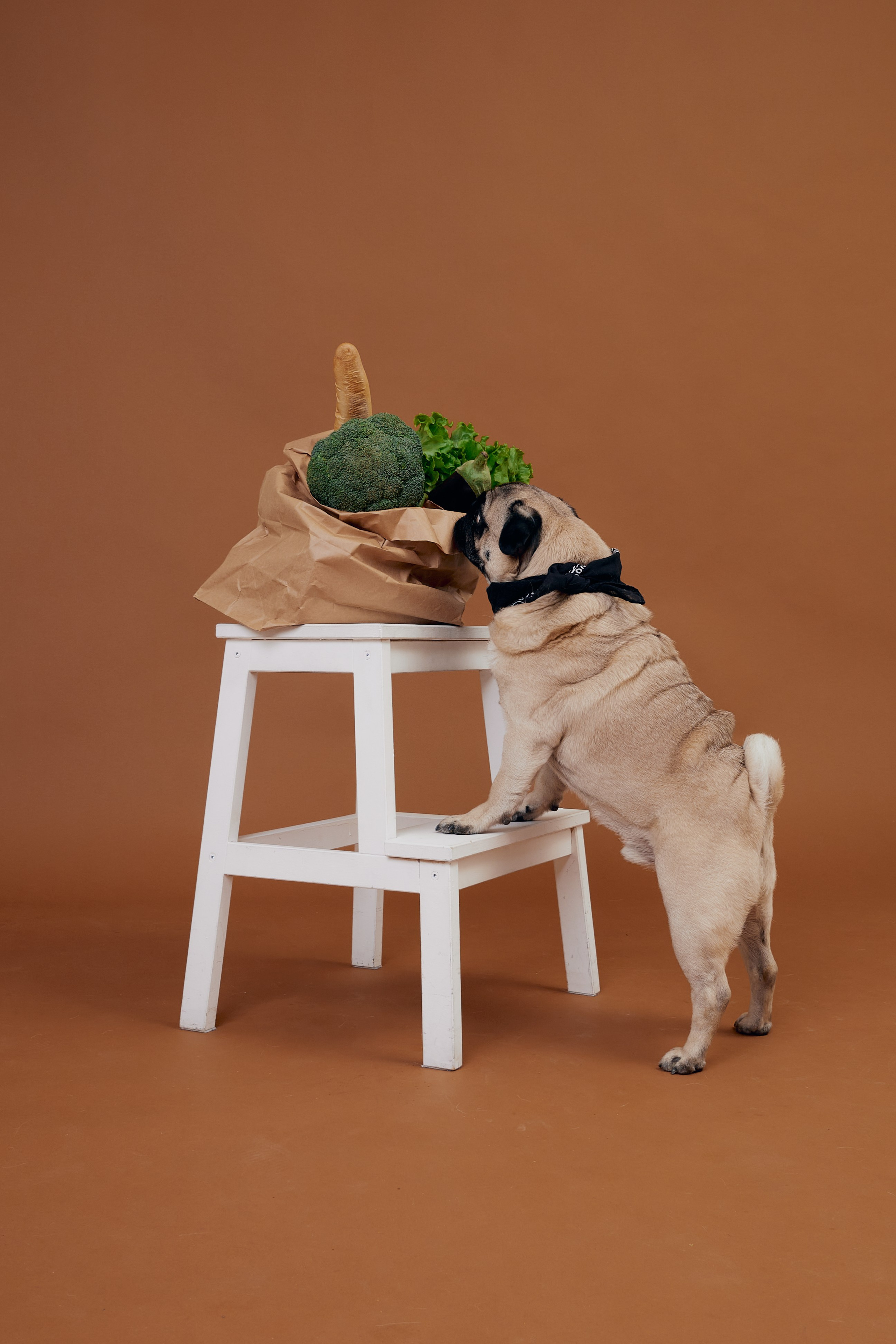 HARD STORE. Коммерческий фотограф в Екатеринбурге Анастасия Гаруст