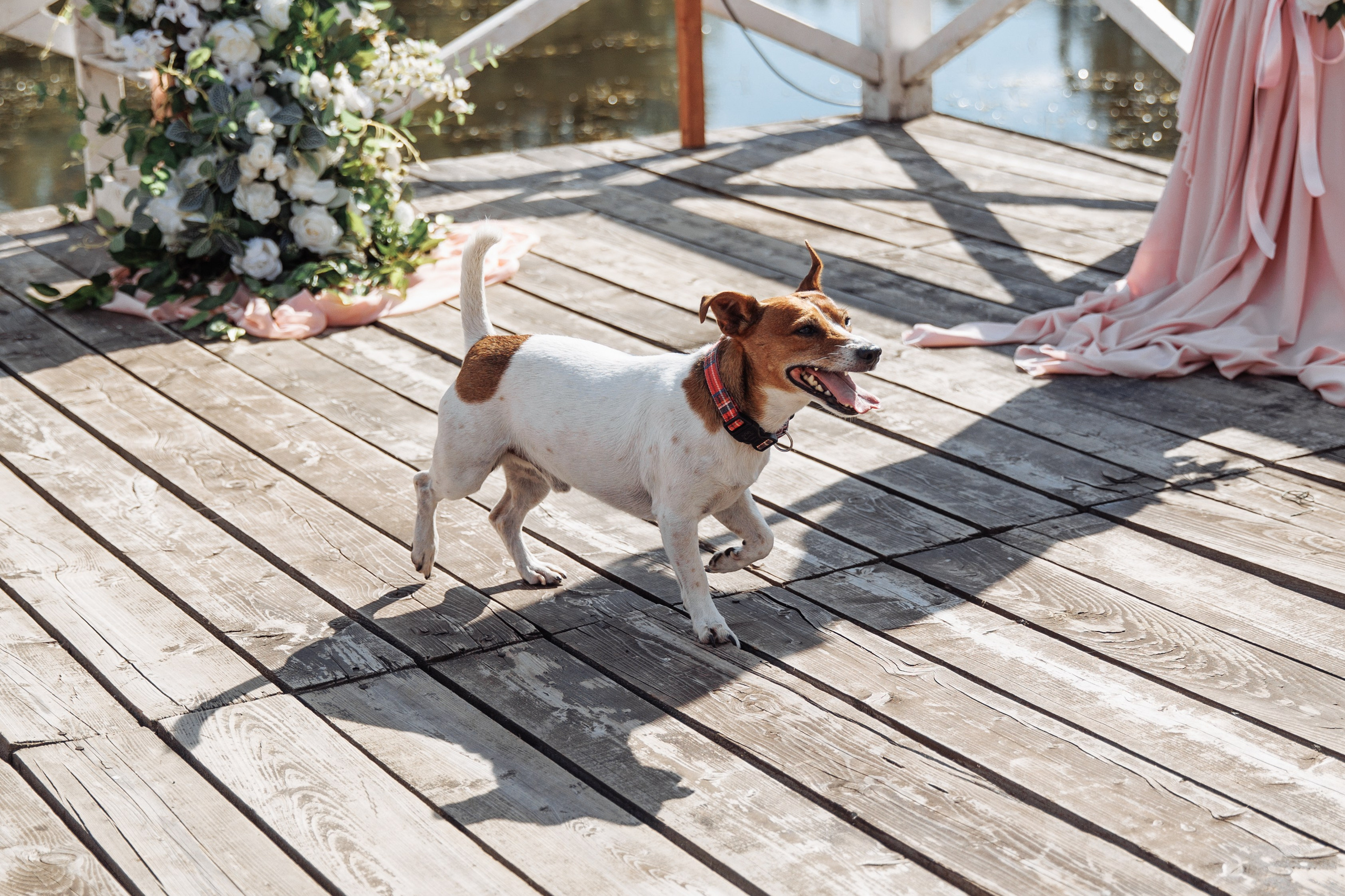 A&A. Свадебный и репортажный фотограф в Перми