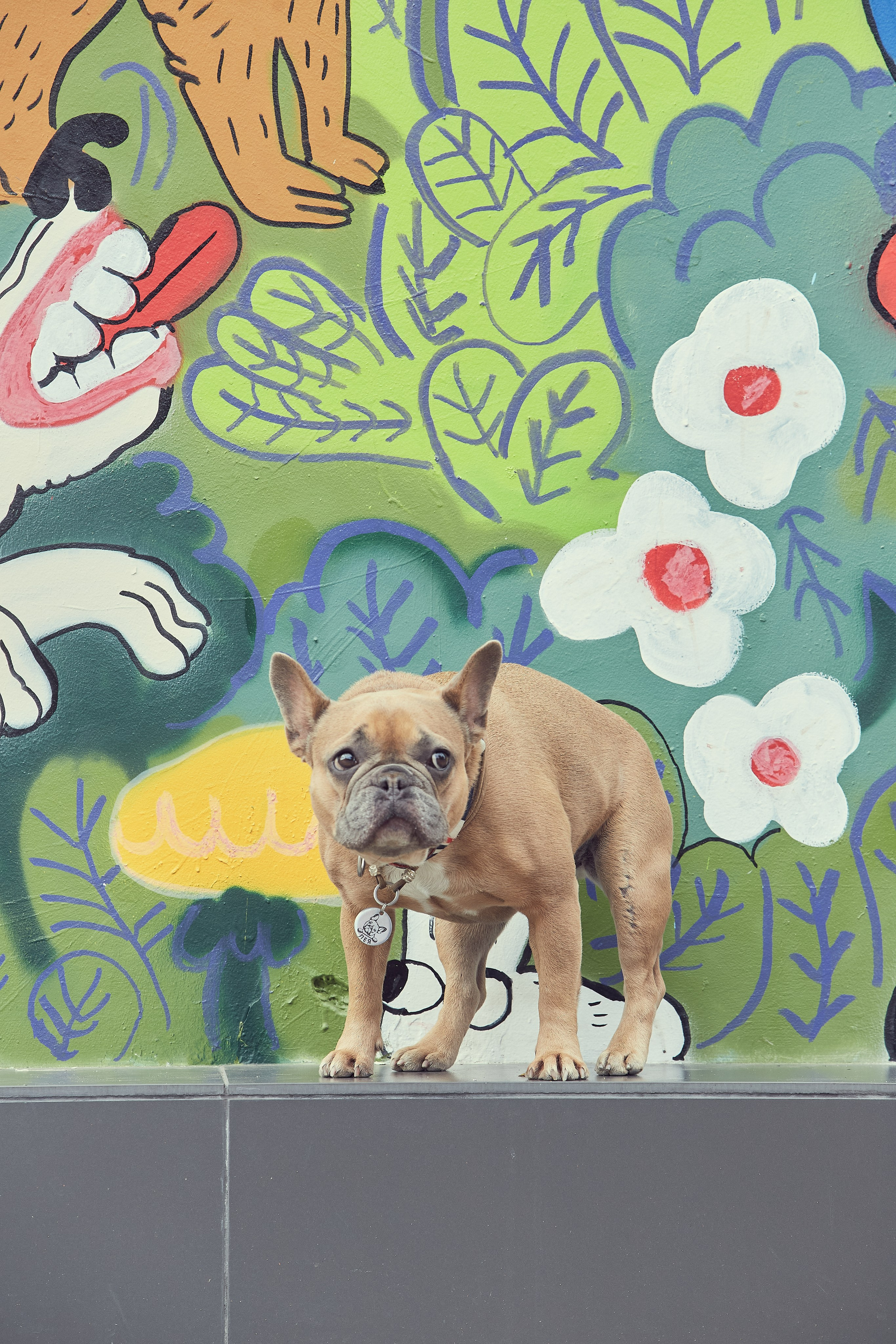 Портретная фотосессия Софы и питомцев. Екатерина Осипова — профессиональный фотограф в Москве