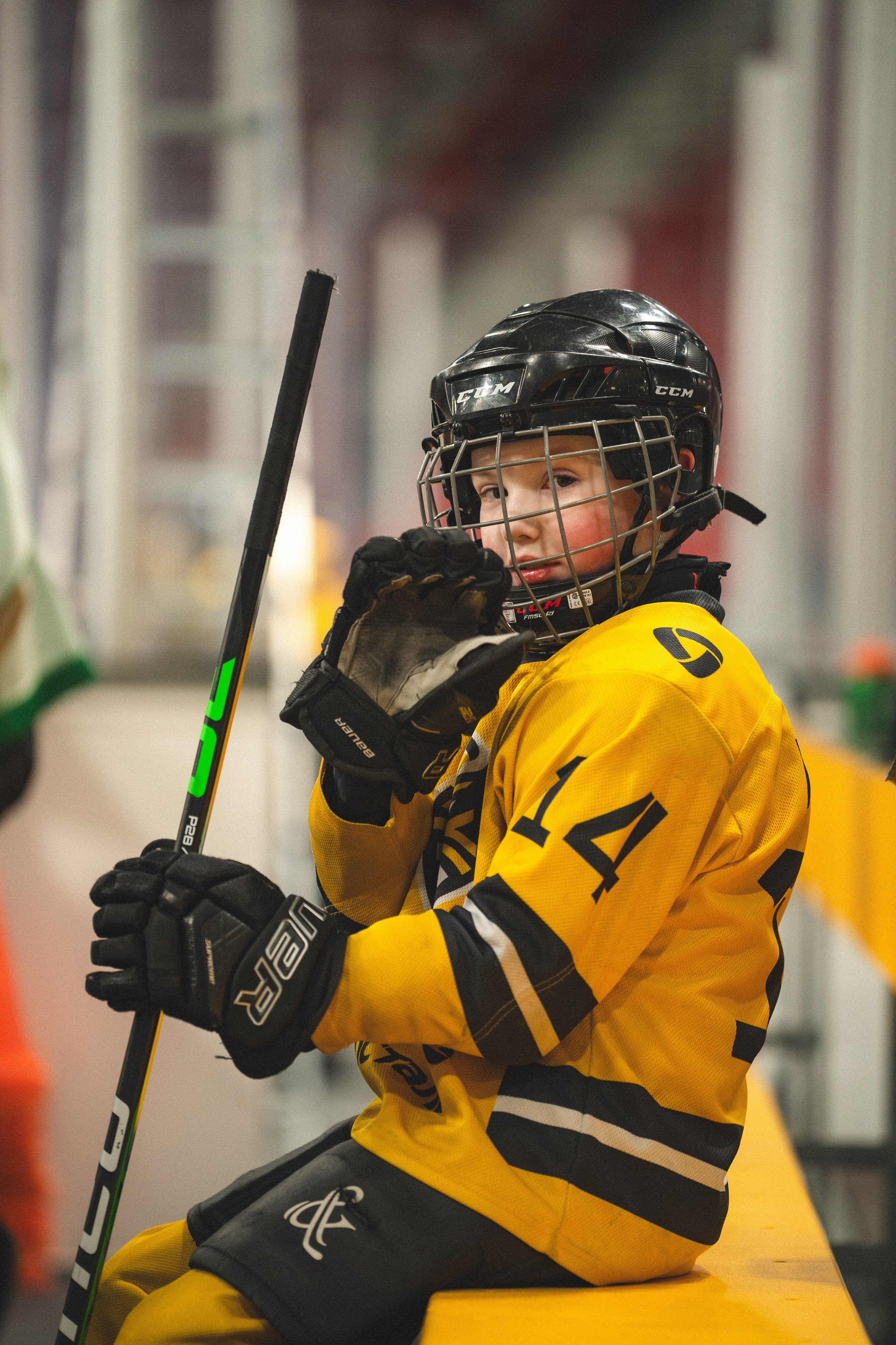 ХК Северсталь (младшая группа). Череповец. Zekons. Фото, видео, нейросети