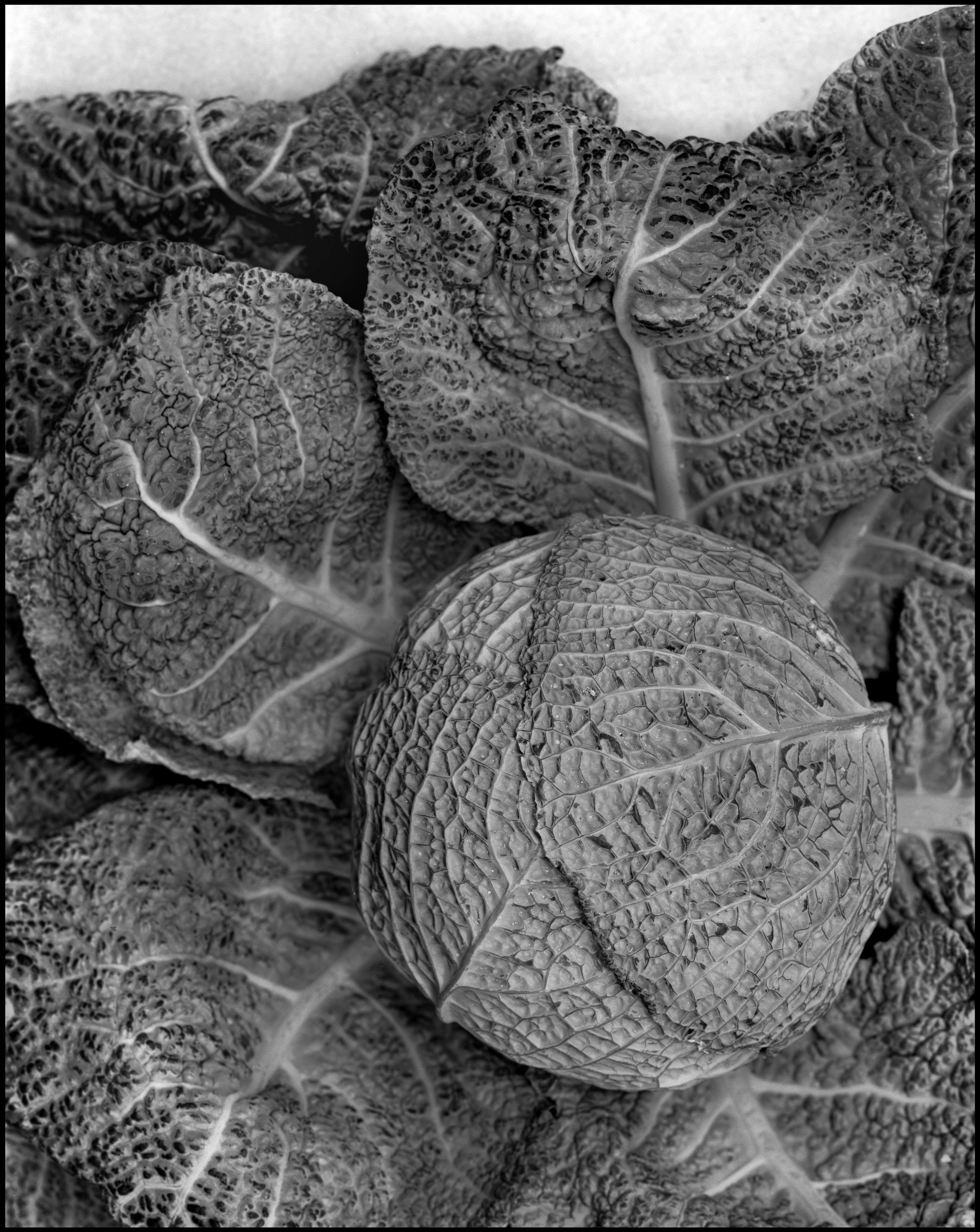 Натюрморт. Кондрюк Сергей фотограф |художник