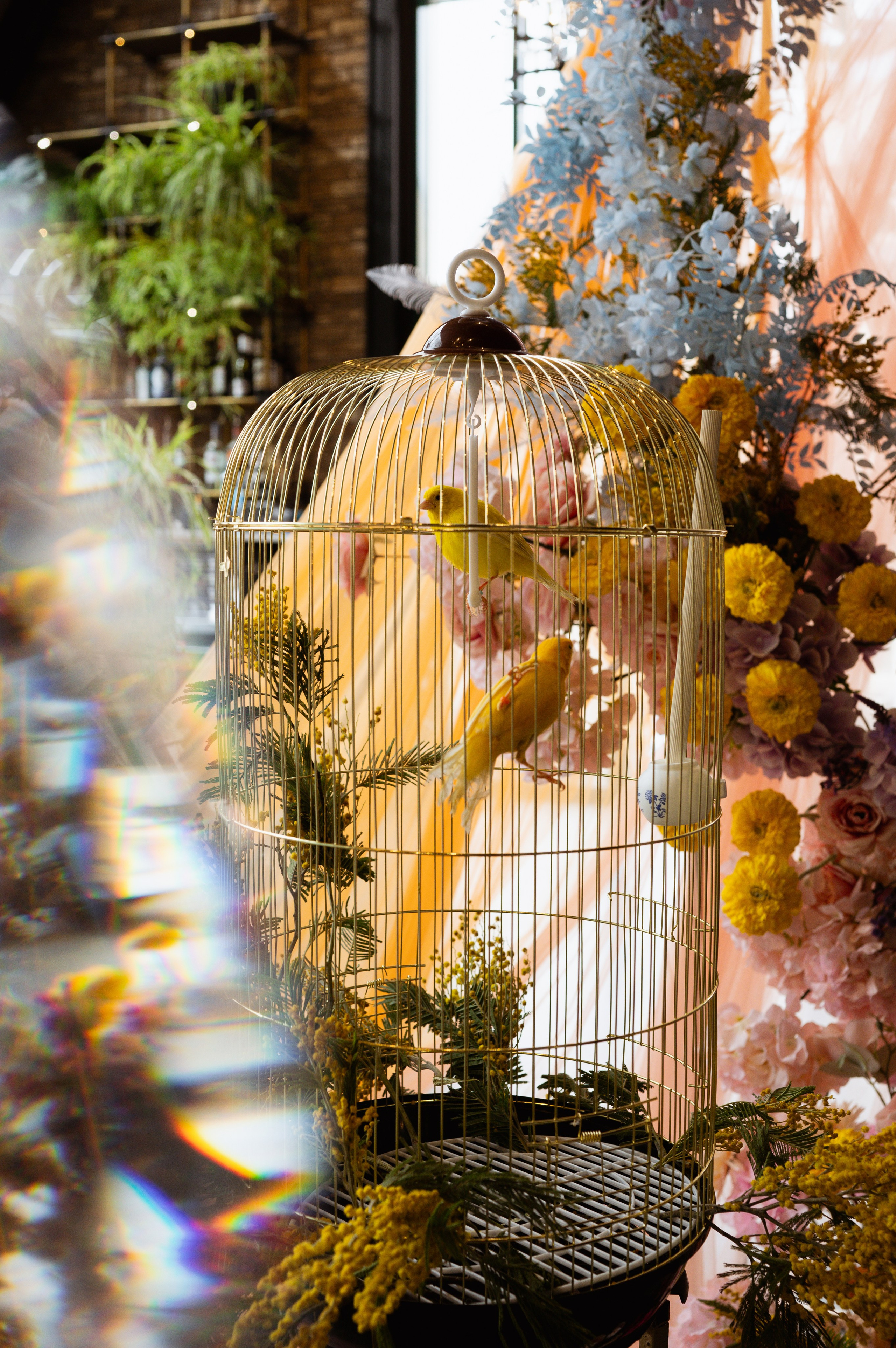 Свадебная фотосессия