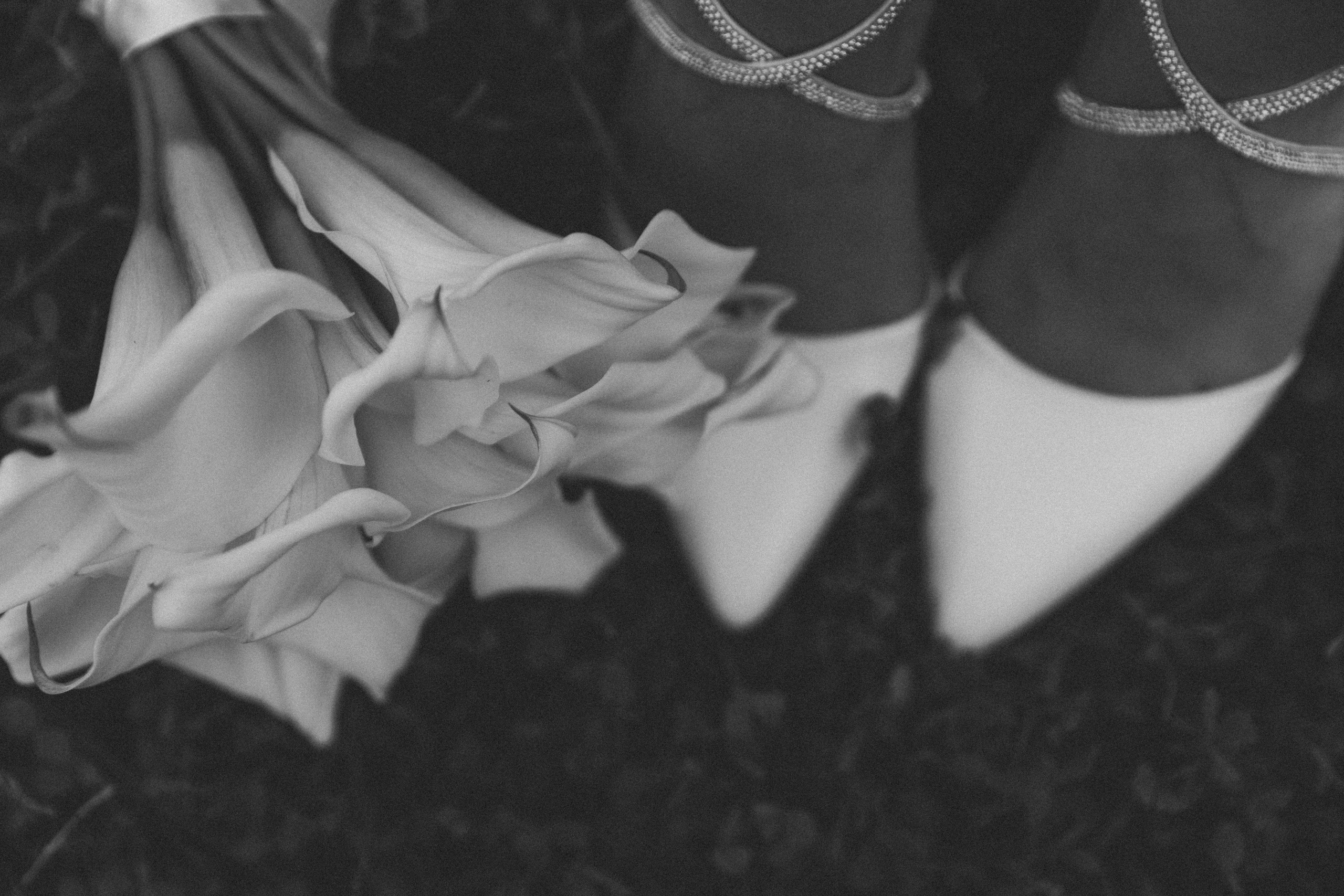 Sergey & Ksenia. Главная