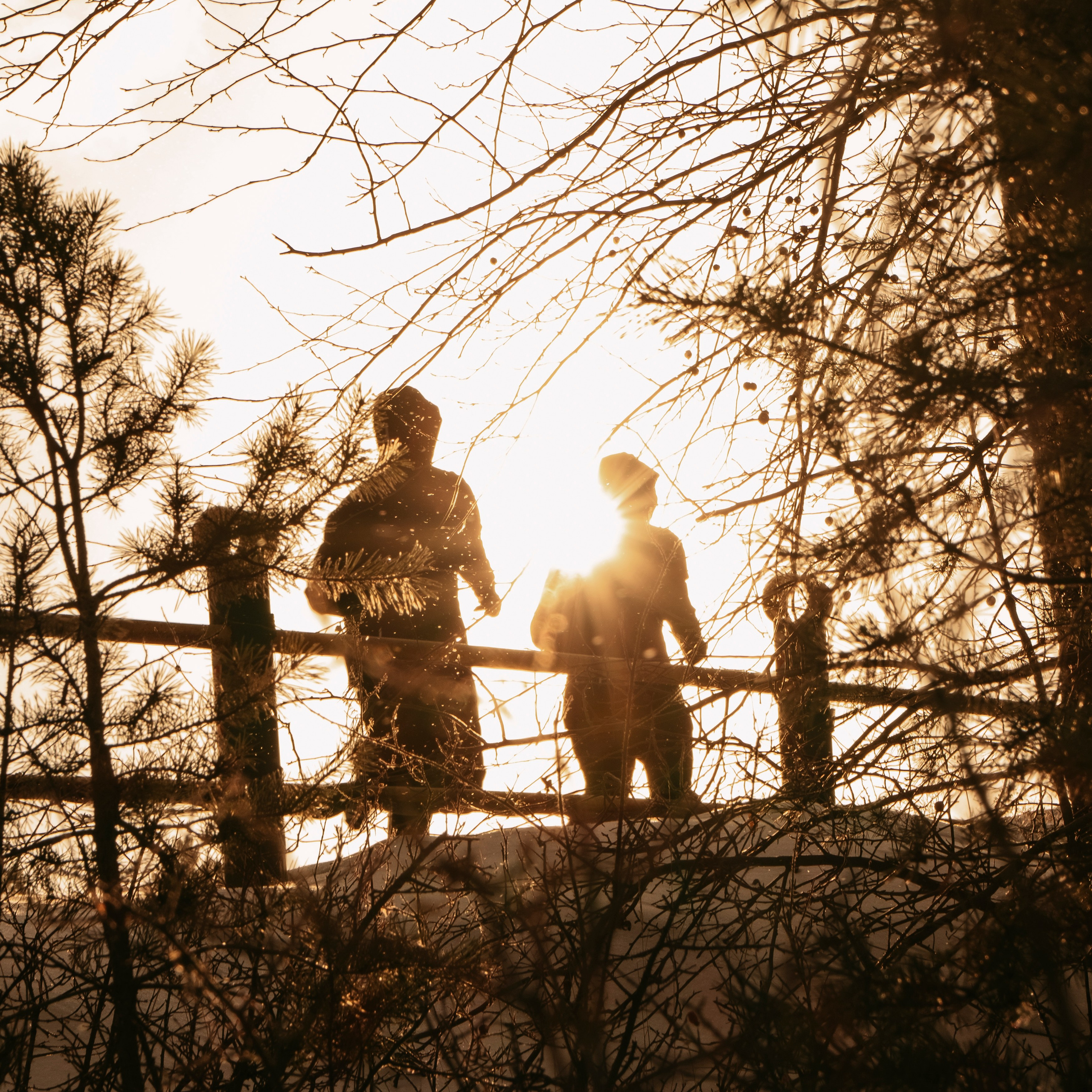 MAD WILL MAN WINTERTRAIL. Павел Маннапов, фотограф и видеограф в Екатеринбурге