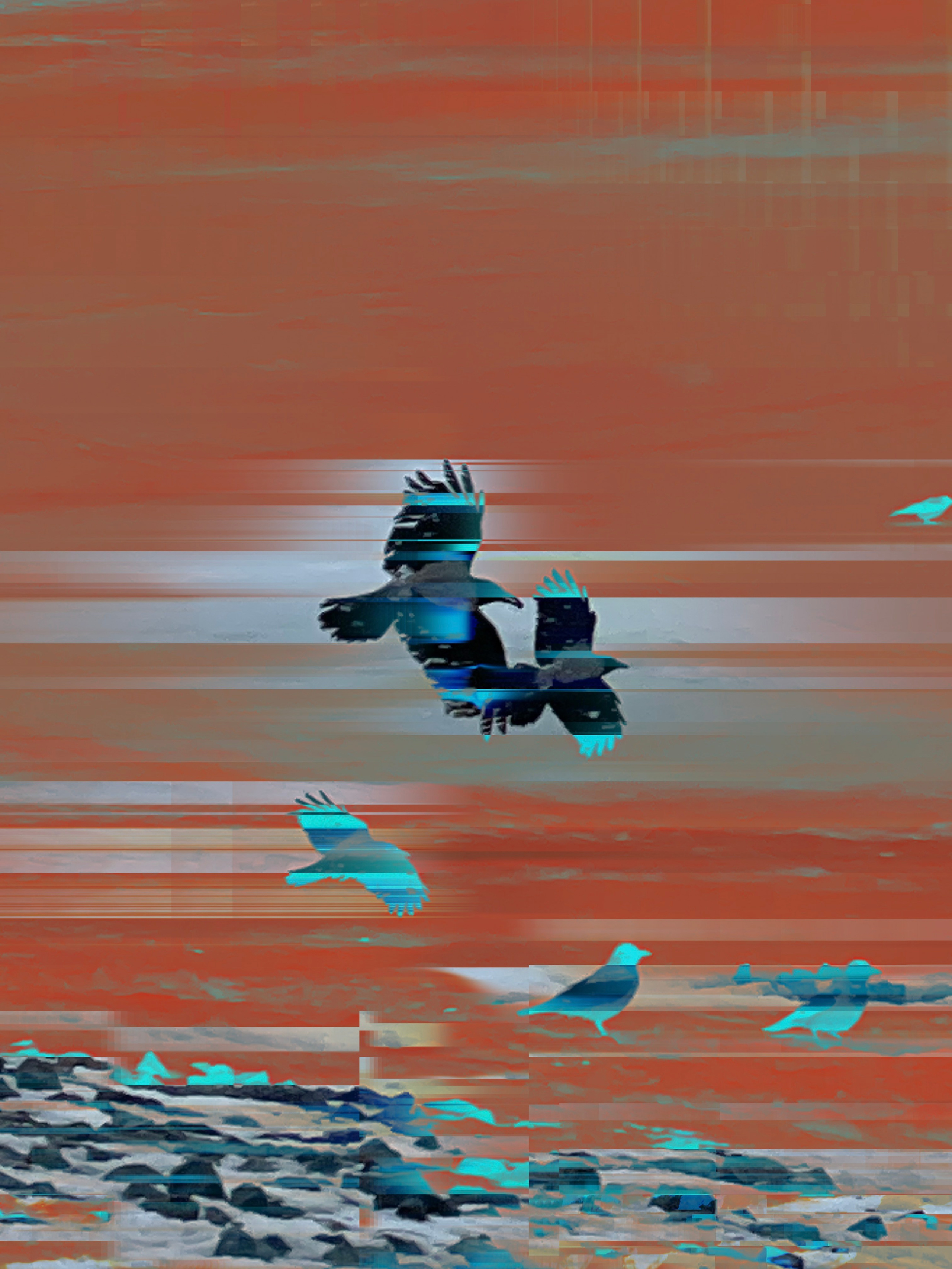 Вороны на снежном покрове. MEMORY in NATURE | digital art gallery