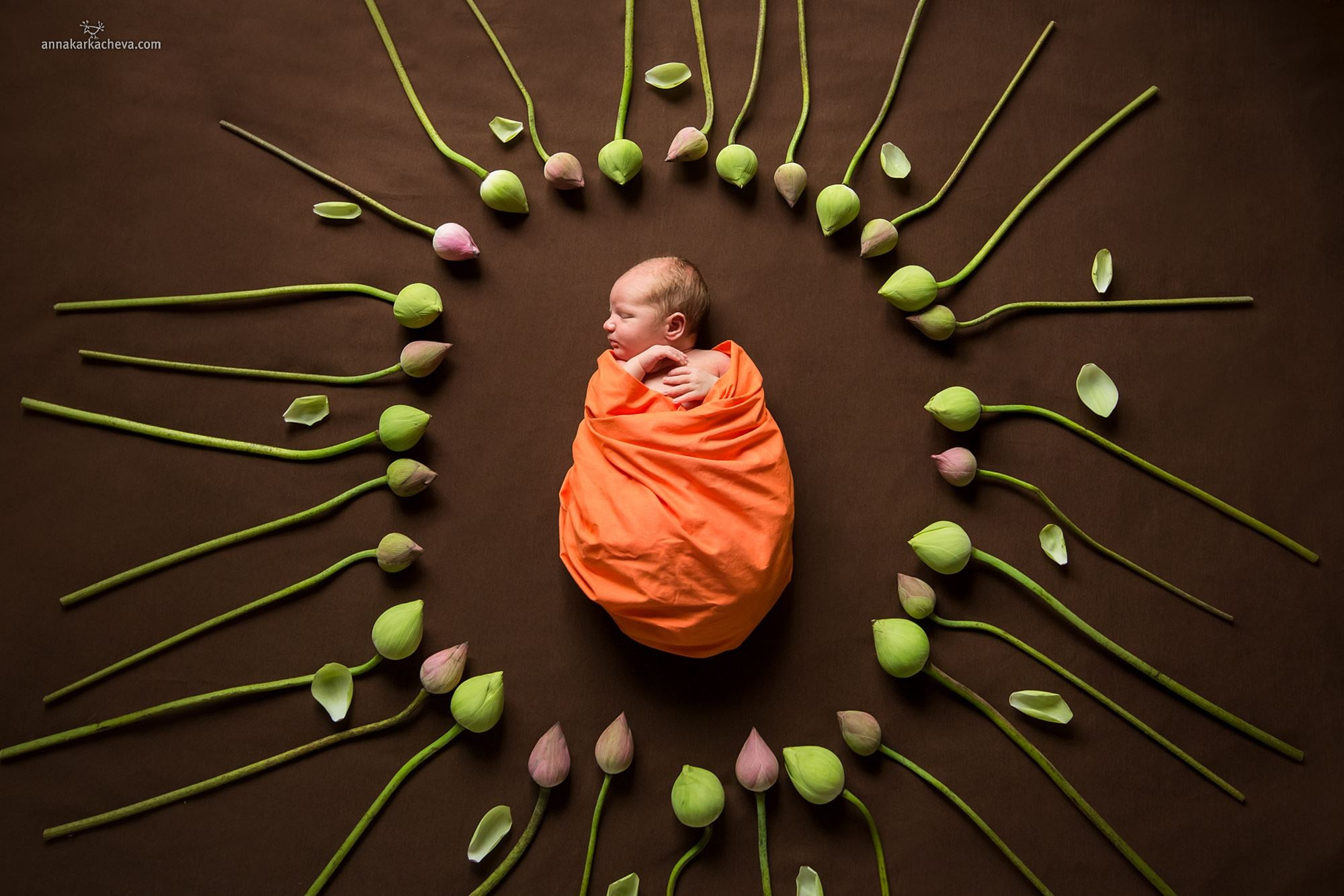 Семья и дети. Ароматестирование по методу Аромакод и Нейростатус в Санкт-Петербурге