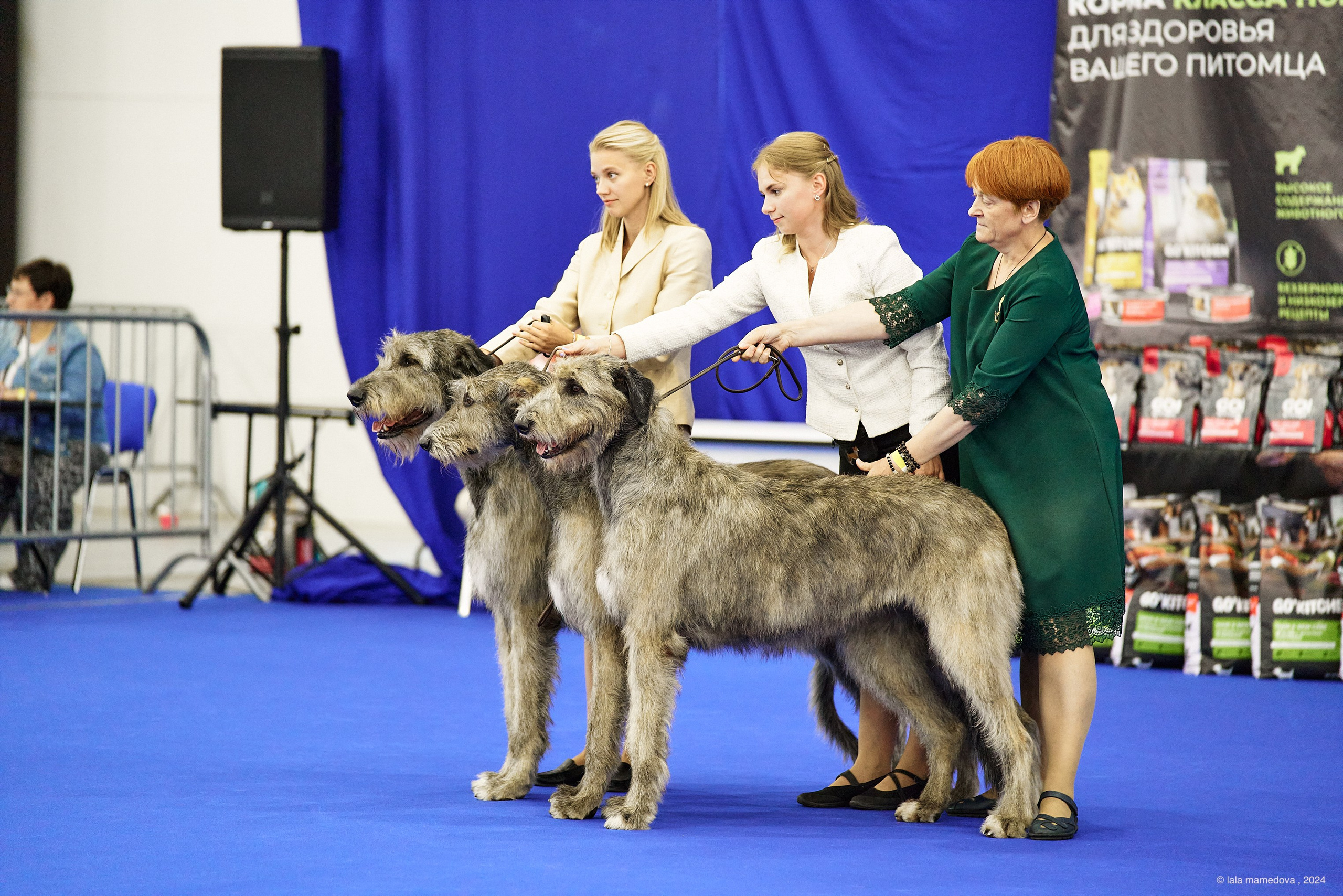 20.07.2024 | «БАЛТИК-ШОУ-1-2024»