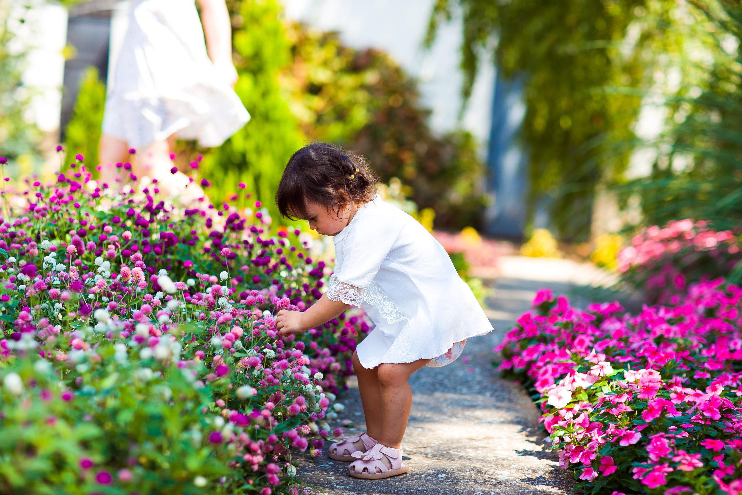 Крещение. Дизайн интерьера Керчь, дизайнер интерьера Еремина Мария Керчь, Симфер