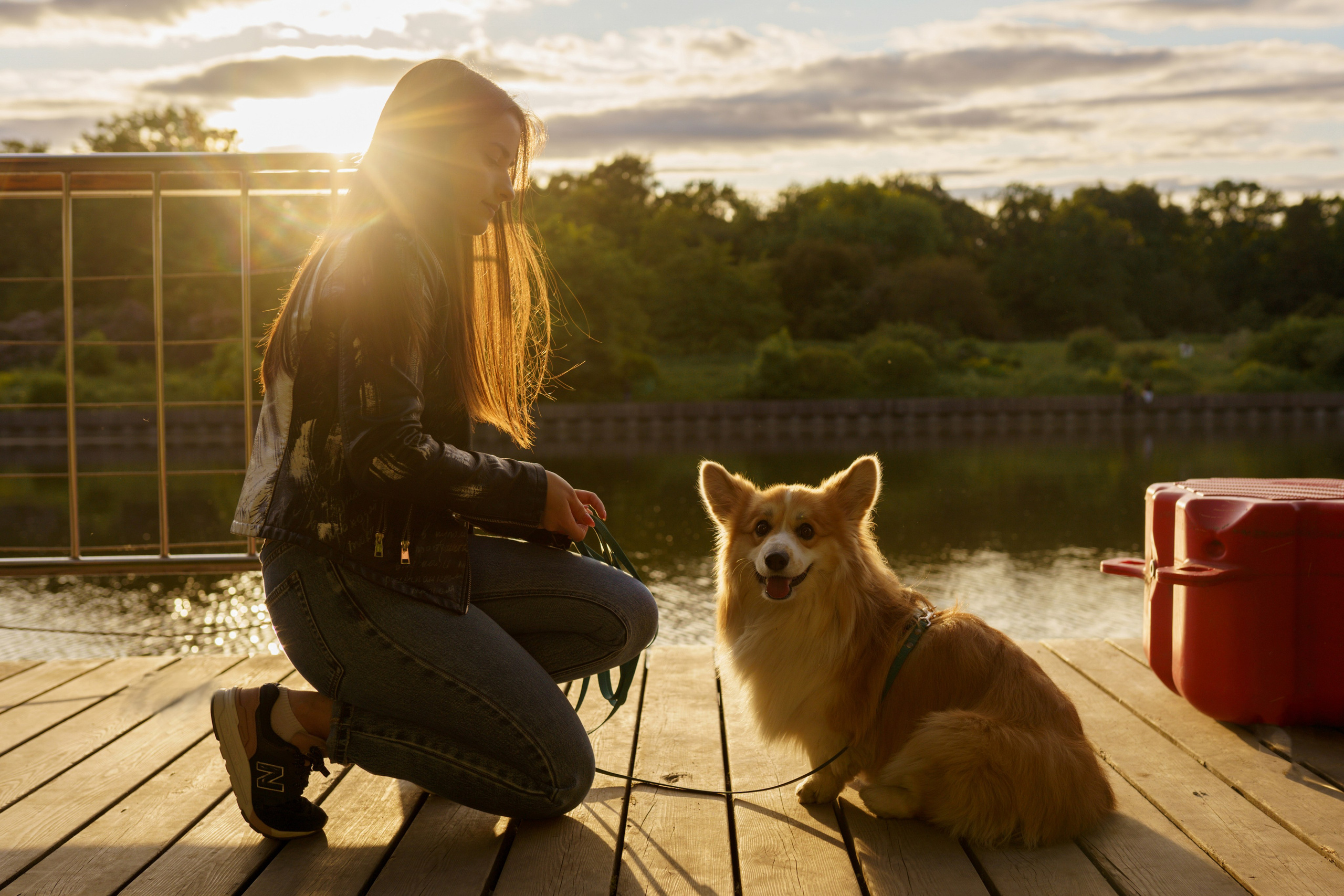 Катя, Арсений и Пух. Свадебный фотограф в Москве Анна Полушина