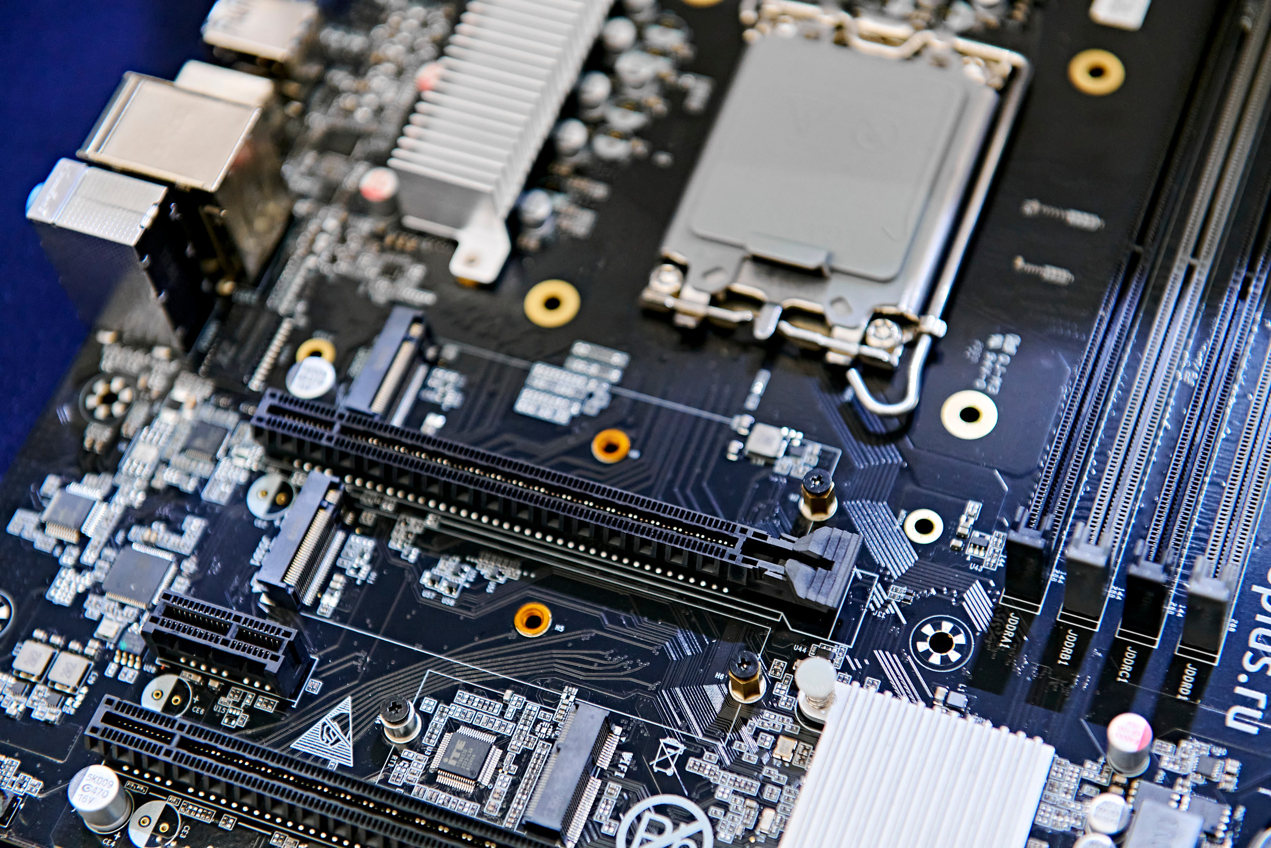 IT Форум будущего. Фотограф Постольник Дарья