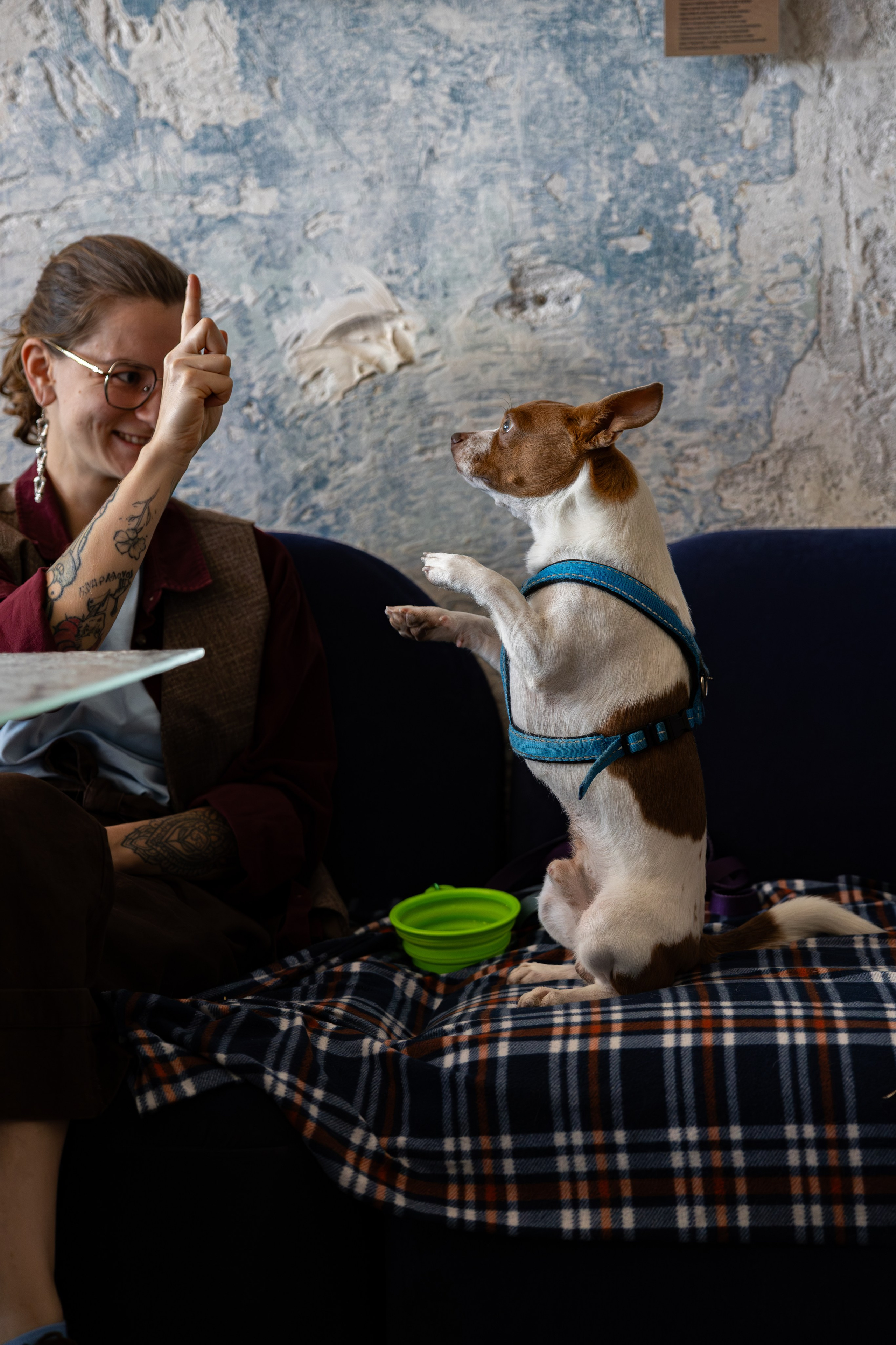 Gastrodvor THE LAB. Дженбаз Павел — фотограф в Ялте