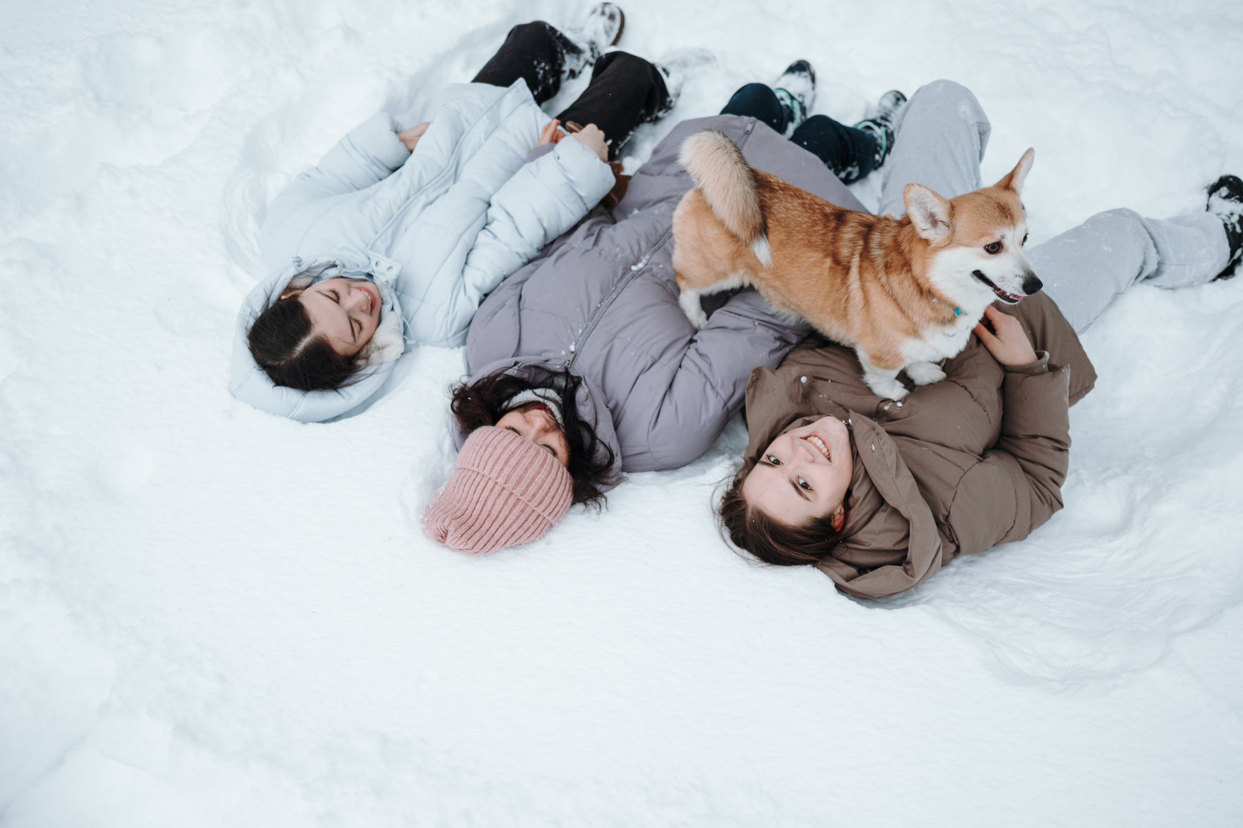 Оливка и ее семья. Фотограф — Анималист | Санкт-Петербург