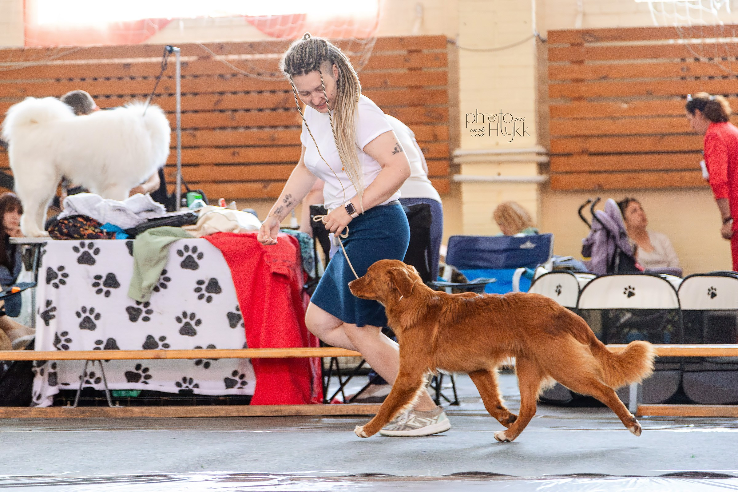 11 августа 2024, Выставка РКФ, г. Ижевск. Htykk_photo