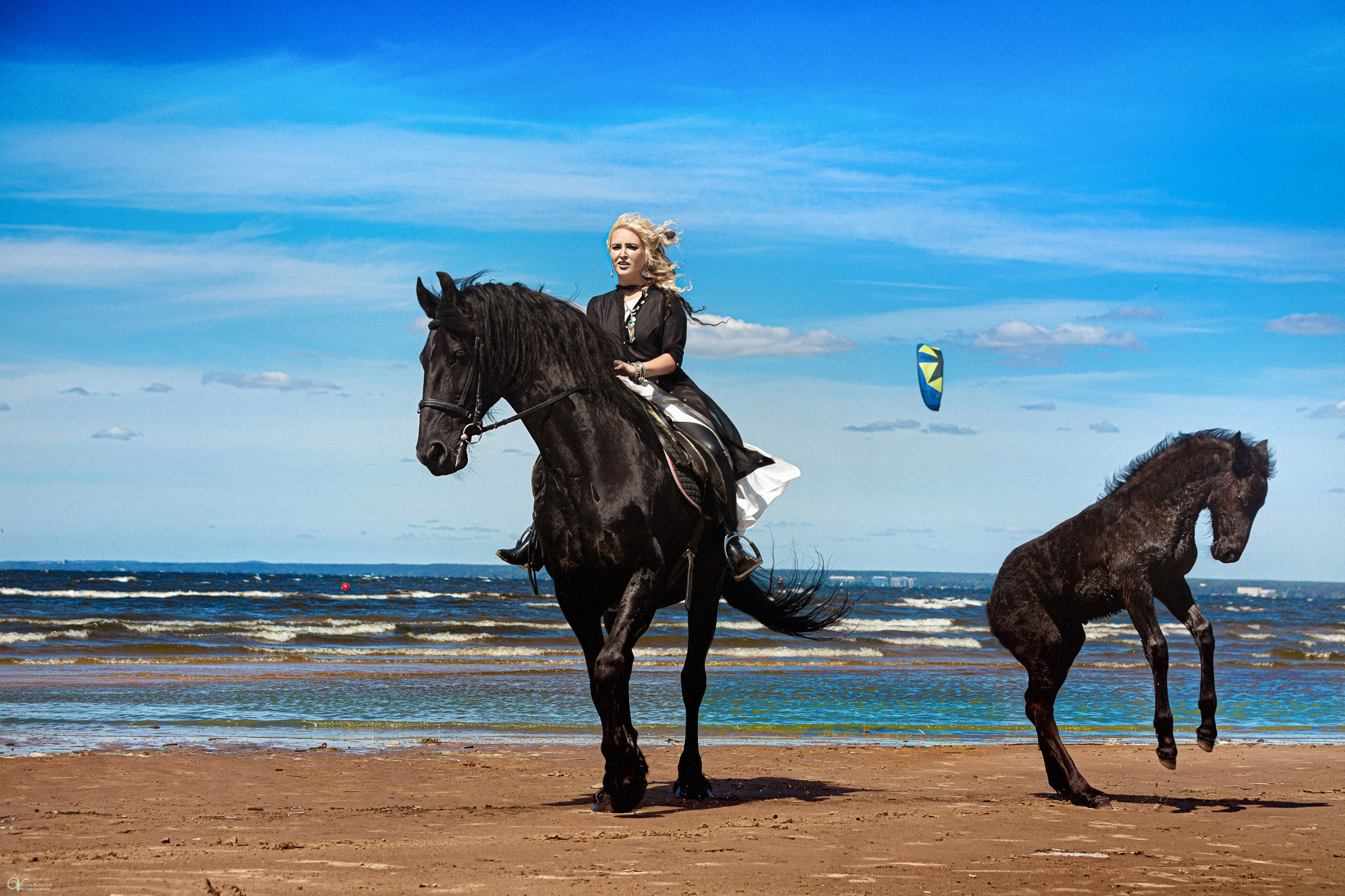 Фотосессии с лошадьми летом. Фотограф женский и мужской портрет Санкт-Петербург