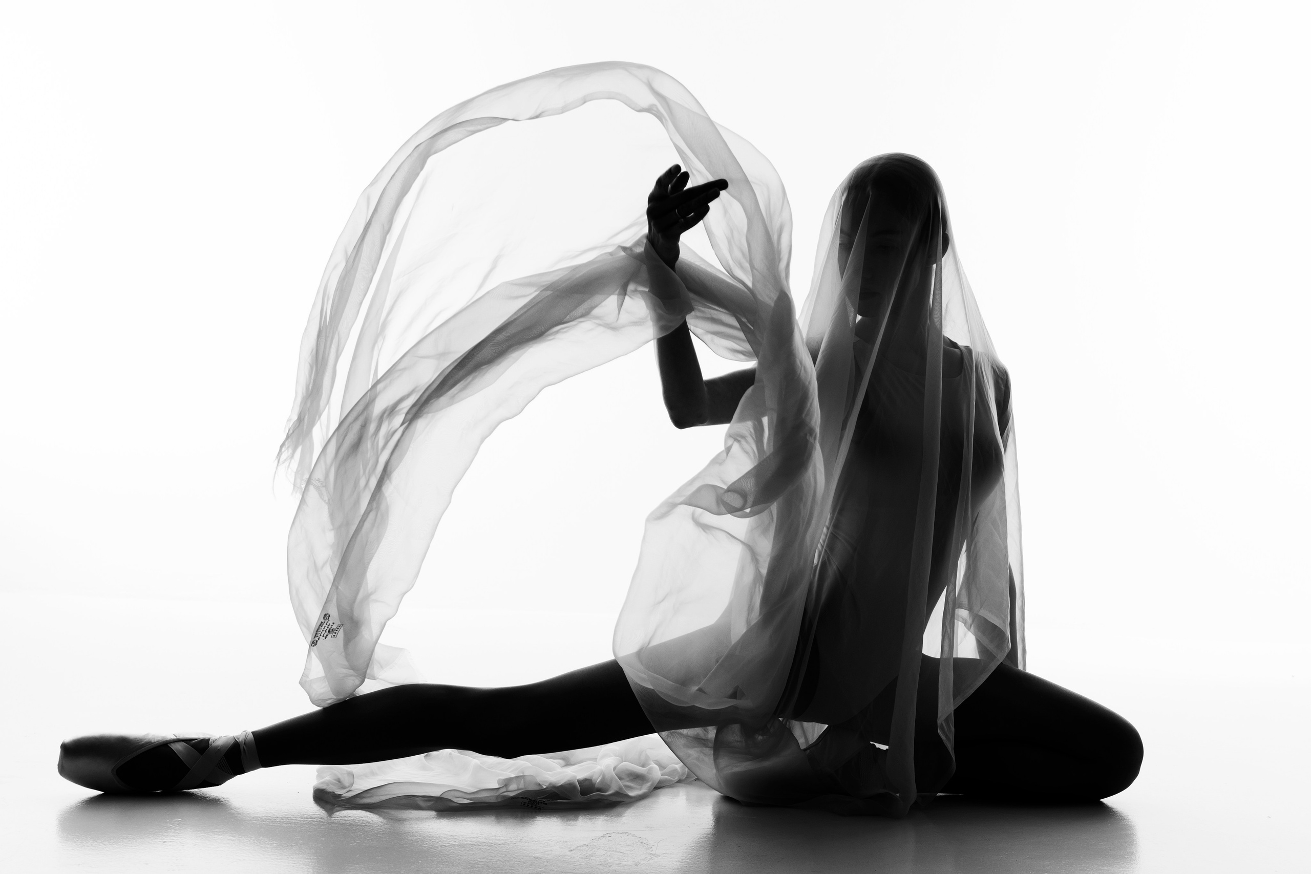 Искусство линии и света