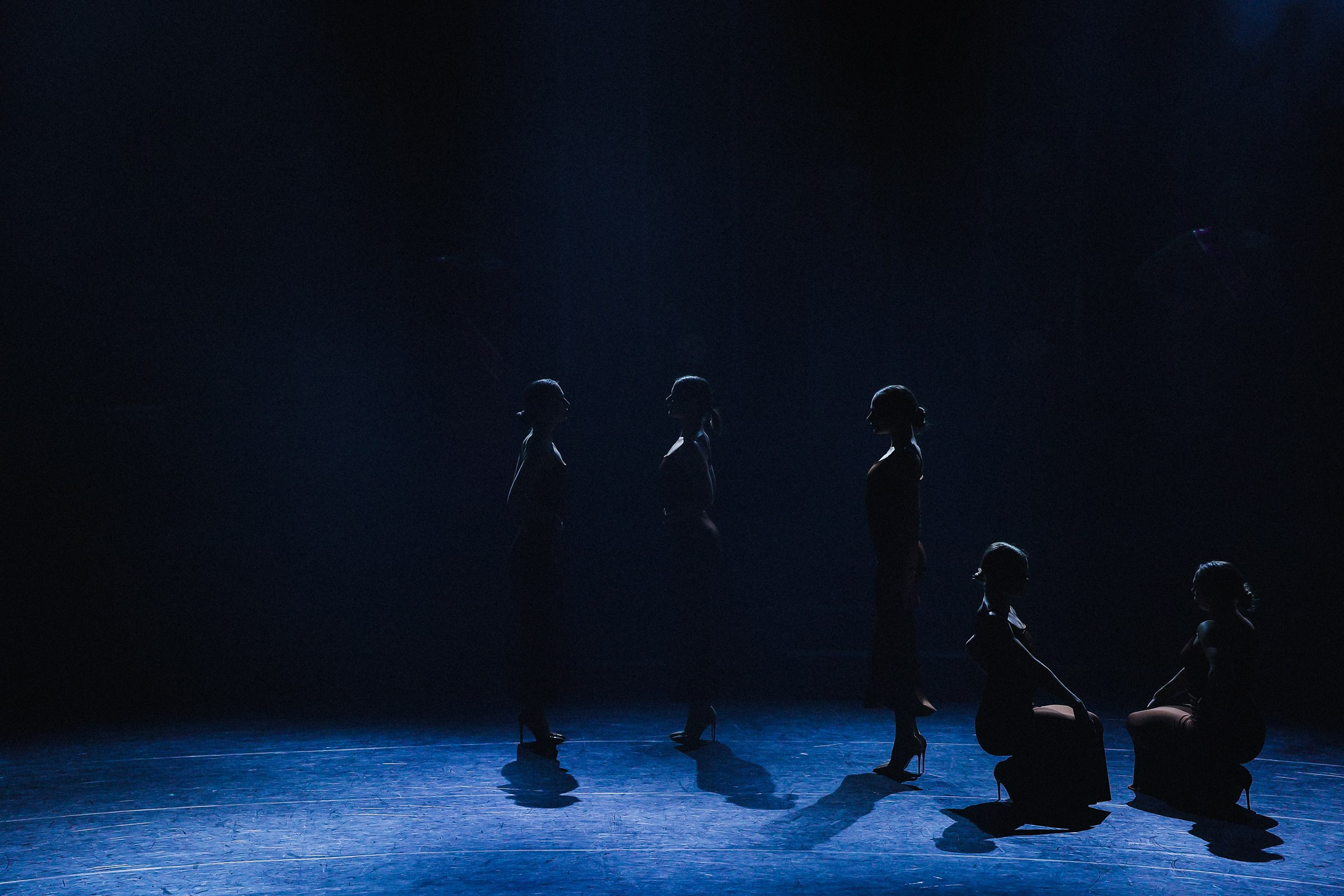 /РЕПОРТАЖ/ Танцевальное Шоу «ОНА». Свадебный фотограф Великий Новгород Станислав Кособудский