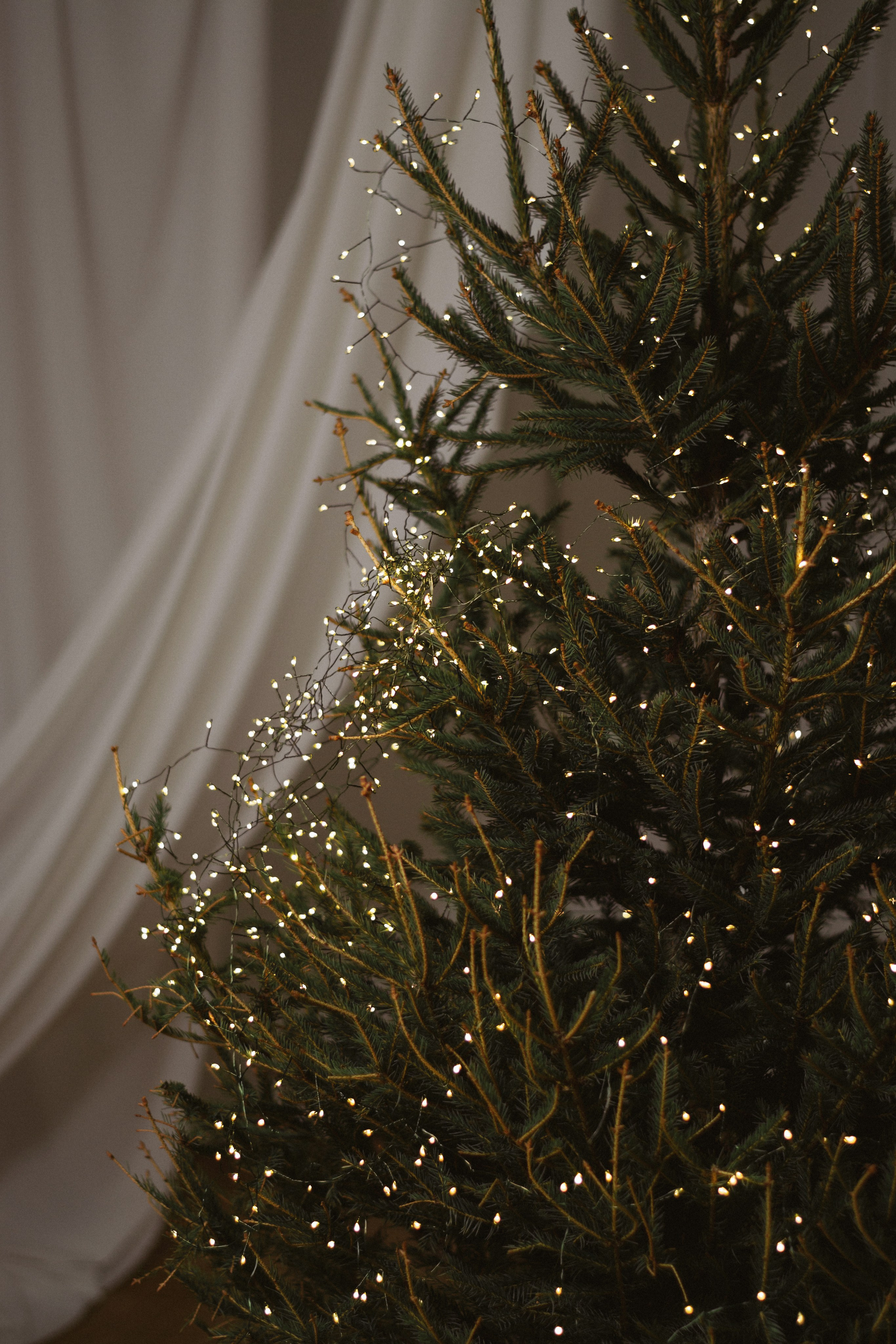 Фотограф Love Story в Волгограде