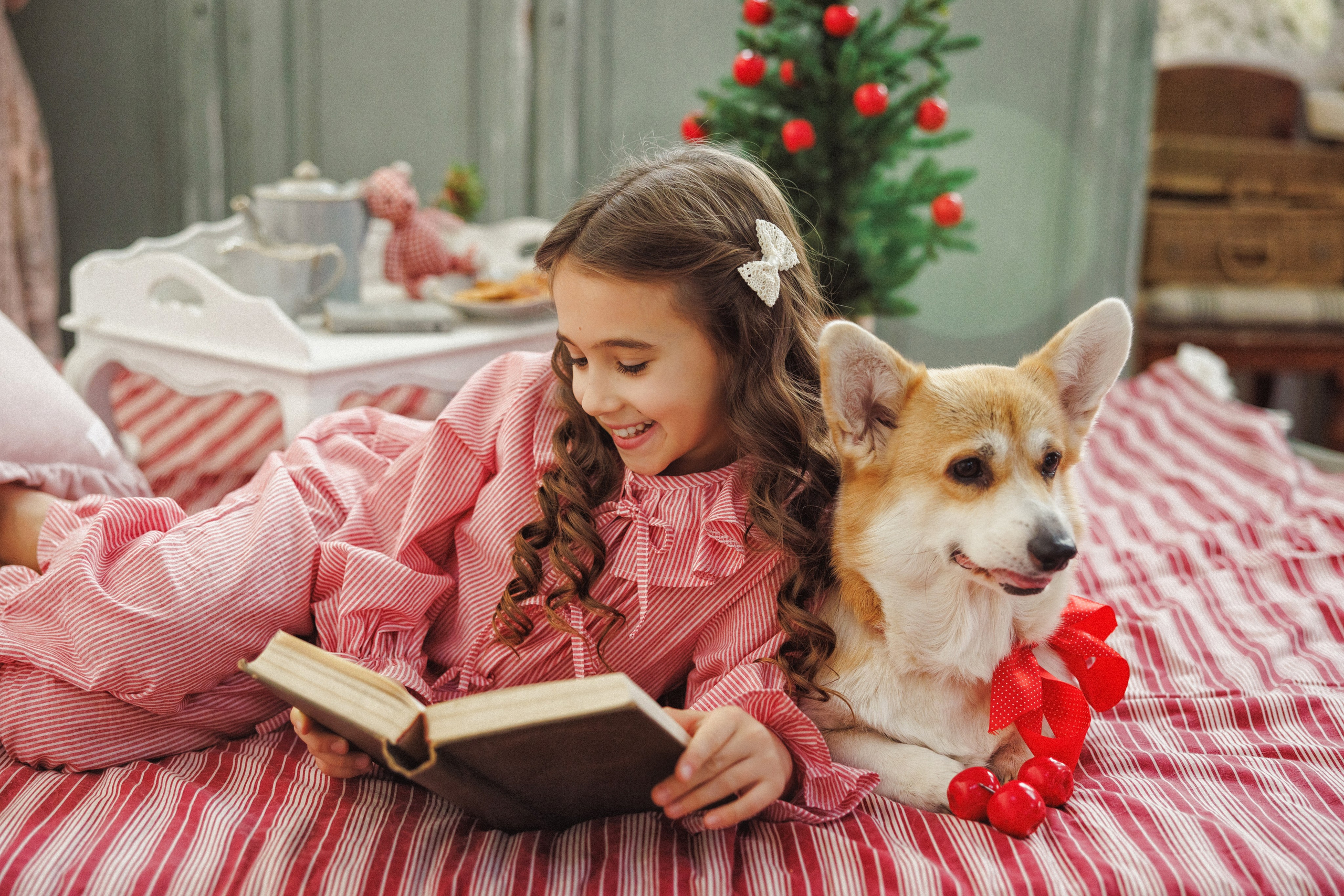 Новогодняя фотосессия с собачками породы Корги, город Краснодар. Семейный и детский фотограф в Краснодаре Анна Трашкова