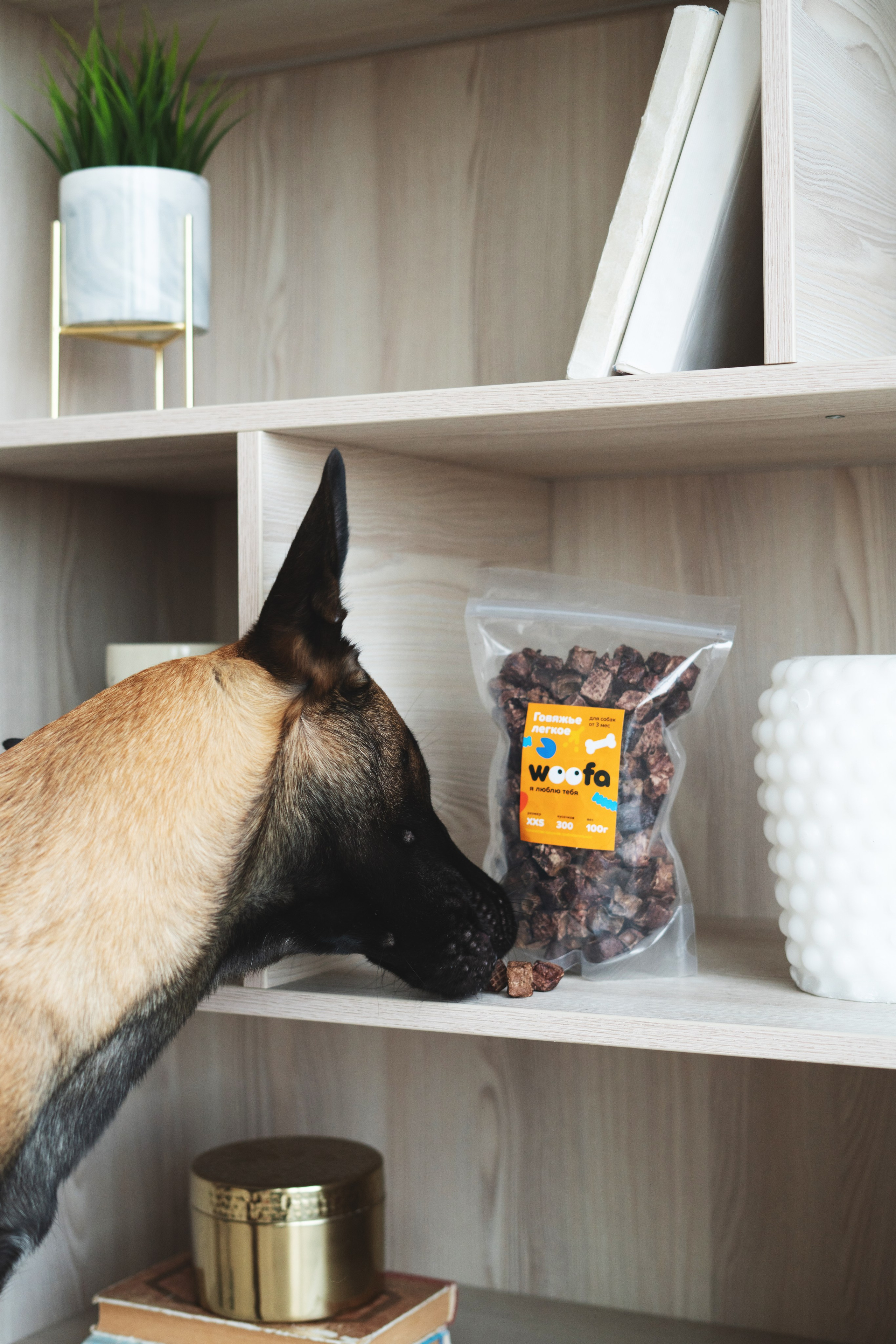 Лакомства Woofa. Фотограф анималист Осипчикова Мария