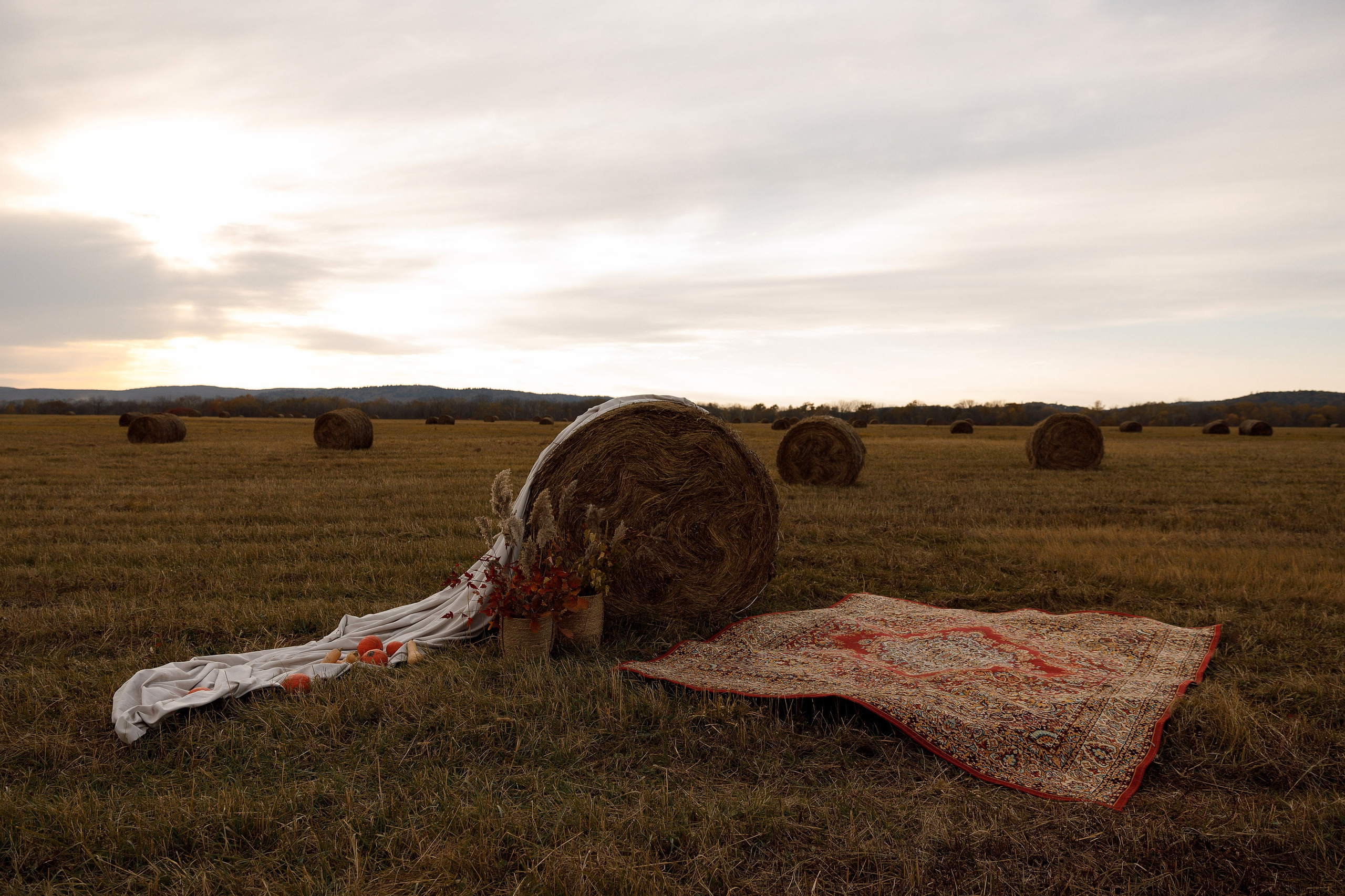 Ясная Поляна. Свадебный и семейный фотограф  во Владивостоке Ольга Украинец