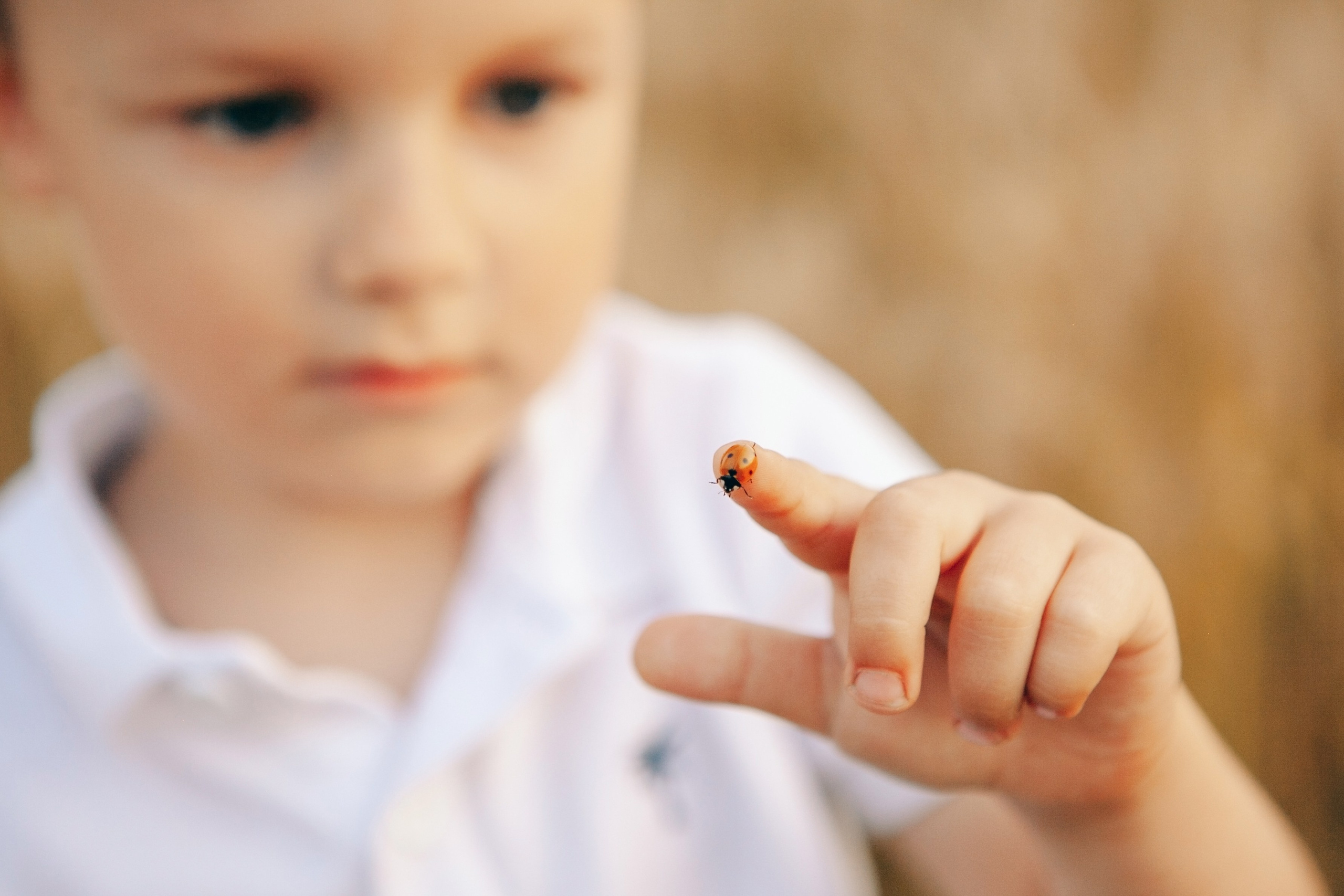 мальчик с божьей коровкой на руке