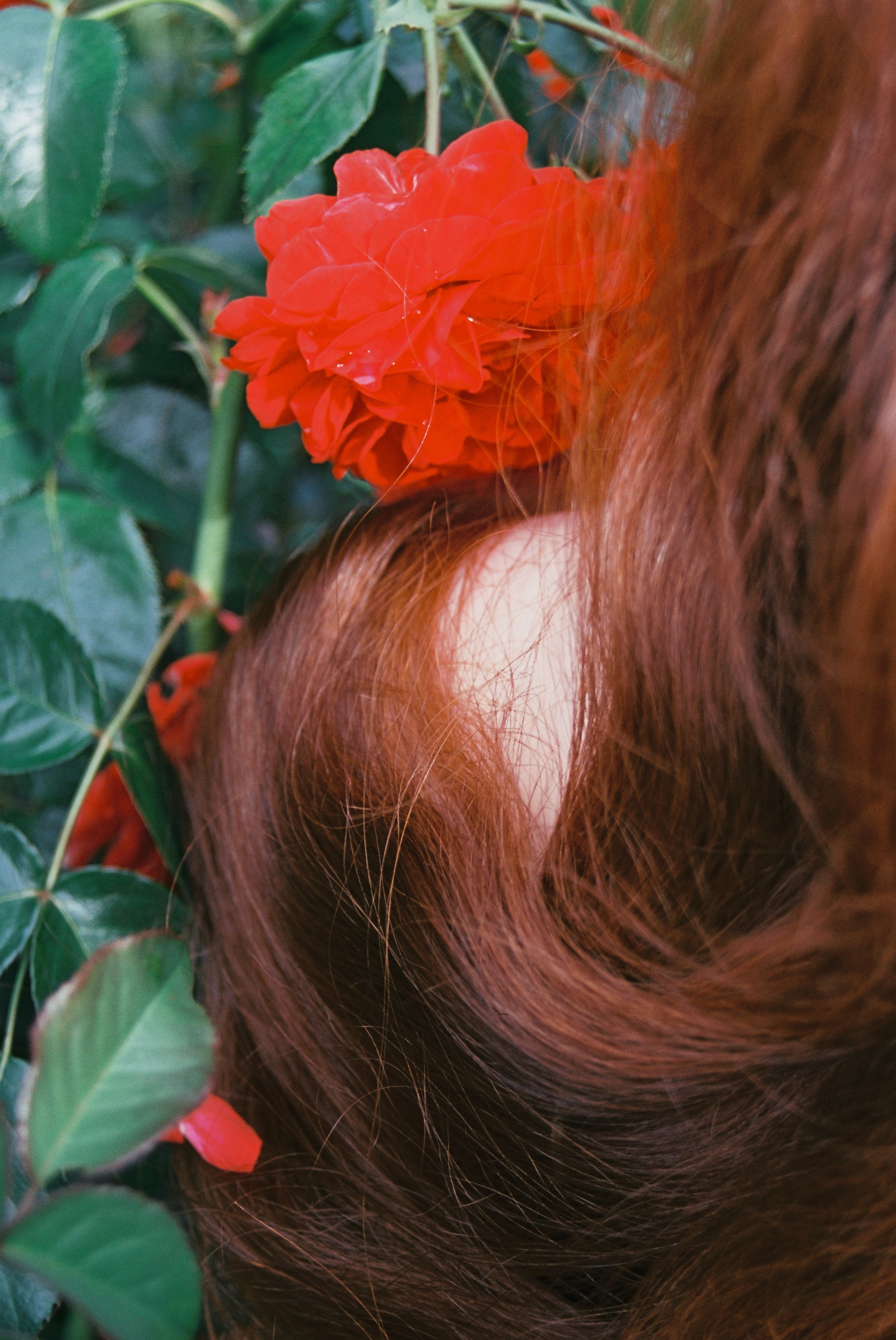 Плёнки. Портретный фотограф в Санкт-Петербурге Диана Аксёнова