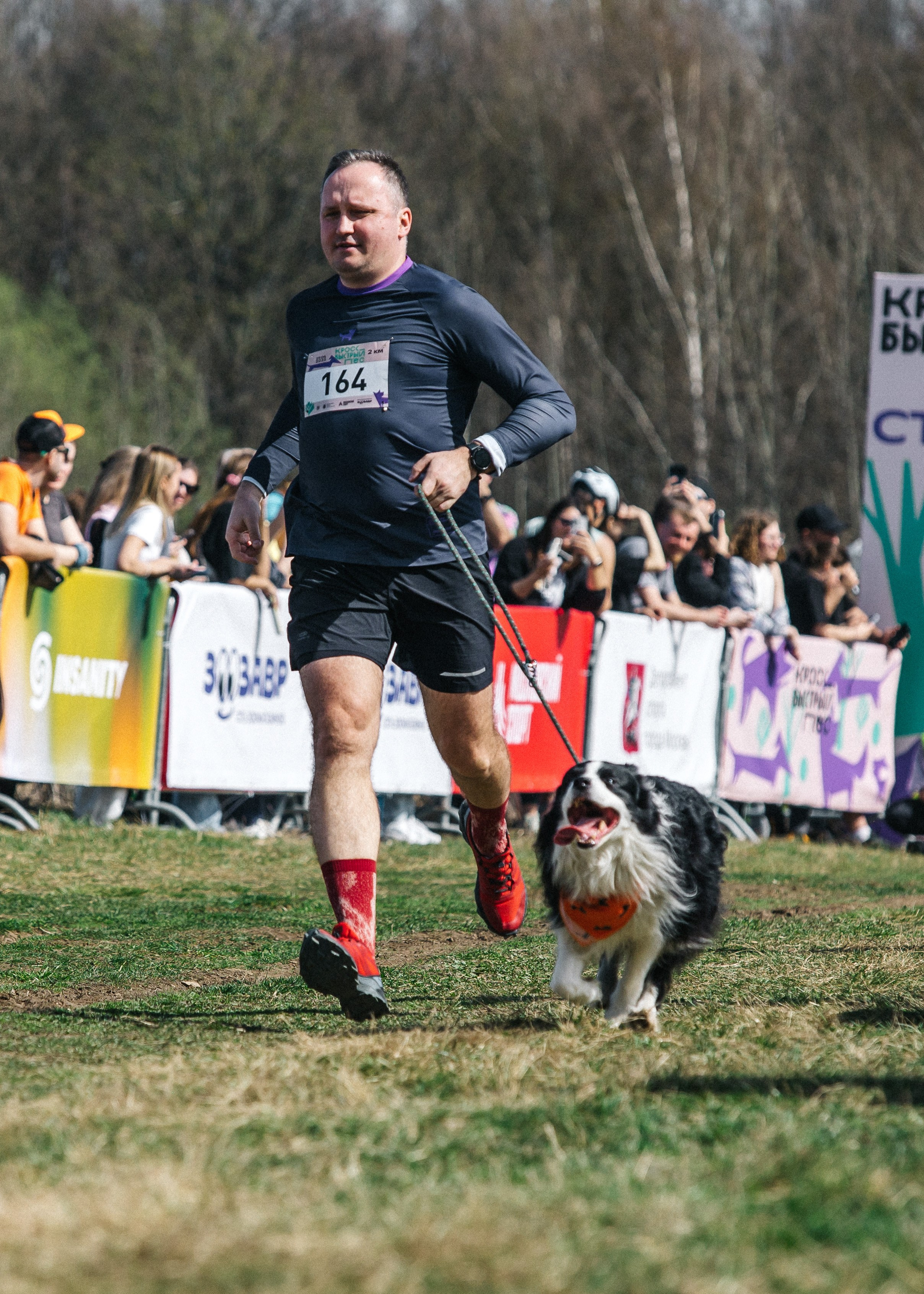 Кросс «Быстрый пёс» 2025. Репортажный фотограф в Москве