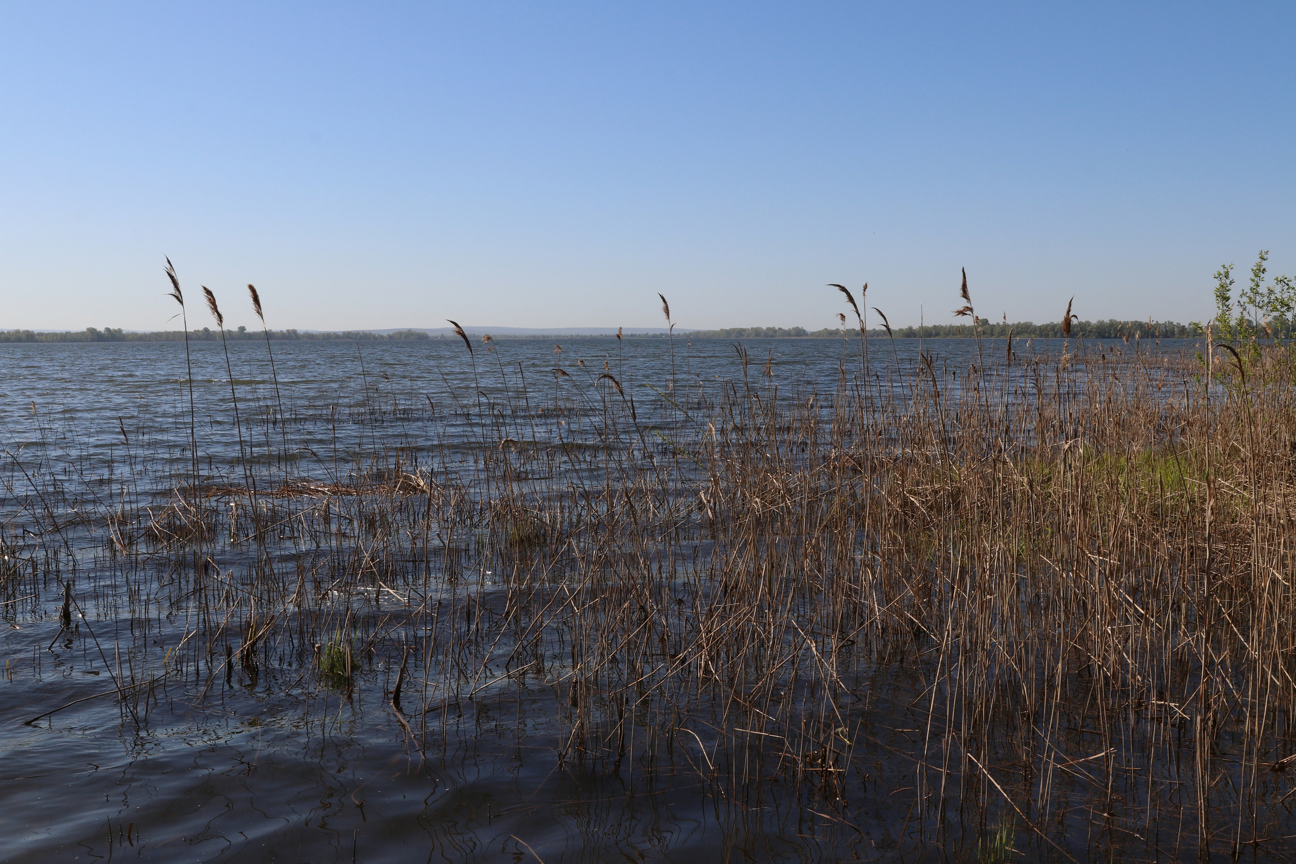Велопоход Уфа — Мелеуз. Май 2024. Путешественник-фотограф из Санкт-Петербурга Татьяна Свистулина
