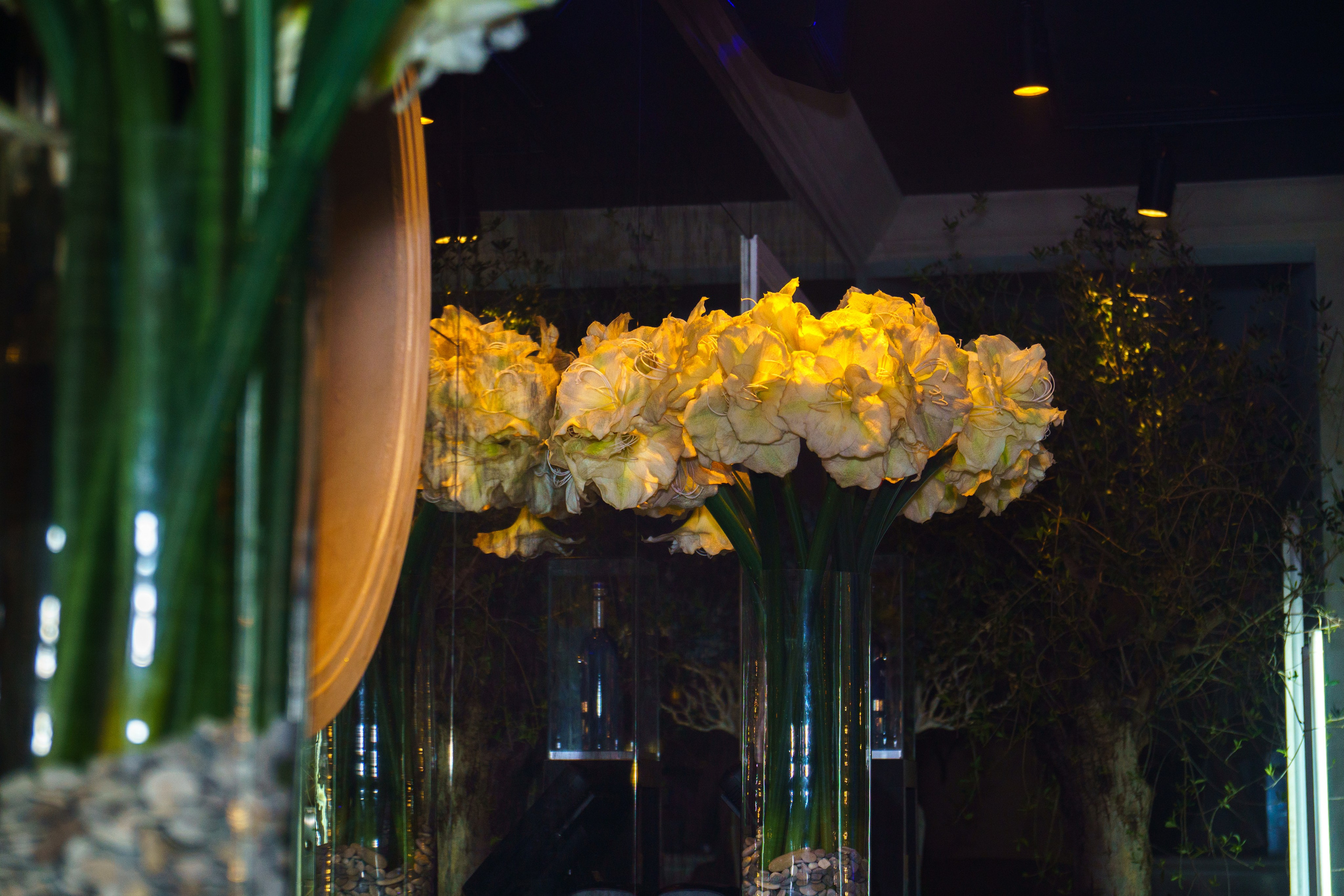 Модус 2024. Фото и видео съёмка в Москве и МО Александр Чапала и Трояк Алеся