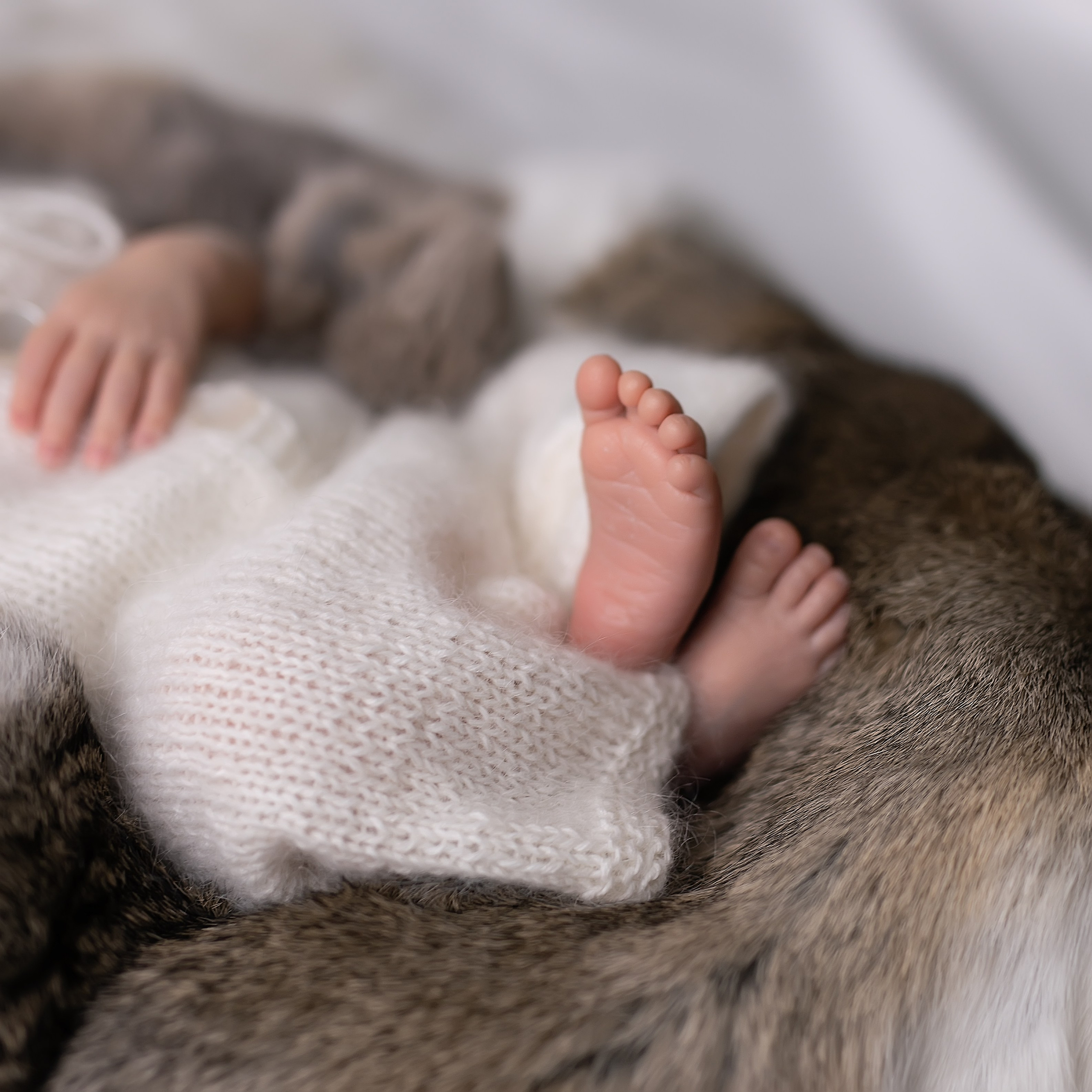 Новорожденные. Фотограф в Перми Anastasia Aone