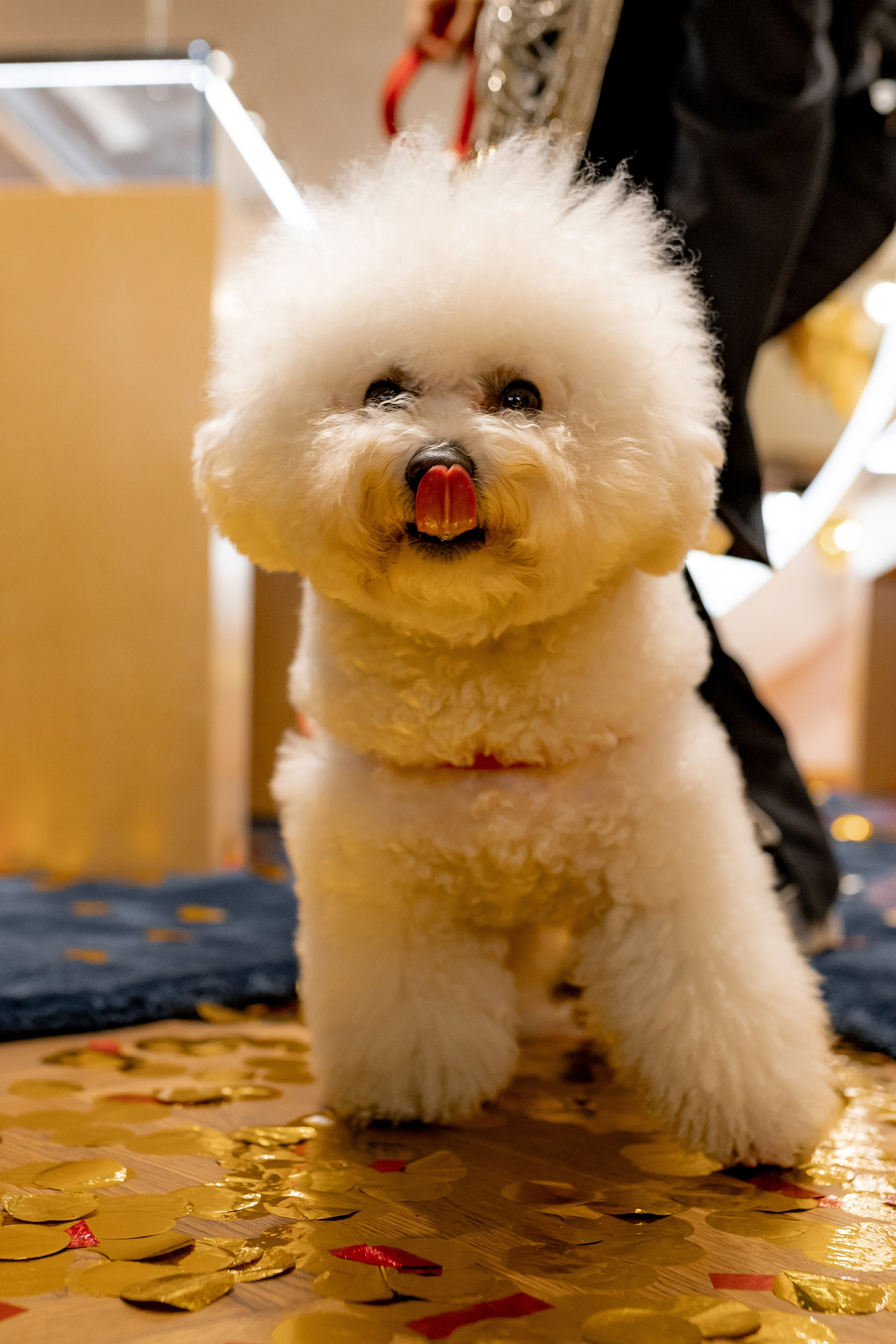 Le Noir. Главная