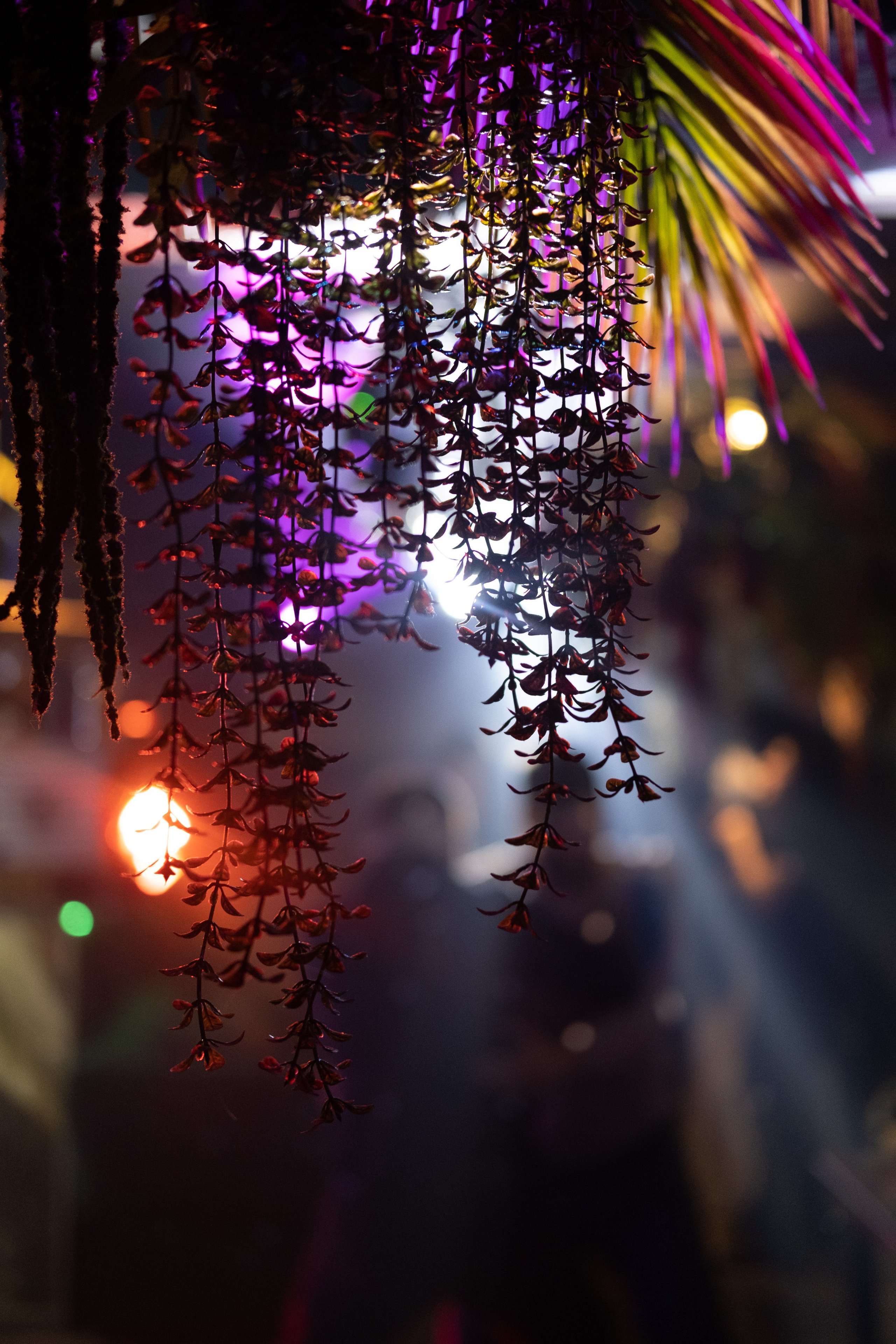 Подымим?. Свадебный фотограф Александра Тюлякова