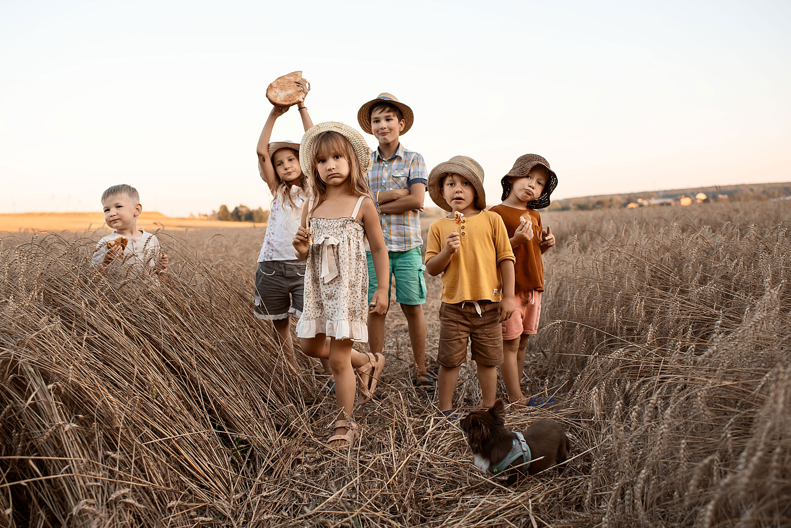Лето в поле. Детский и семейный фотограф в Москве Олеся Рослякова