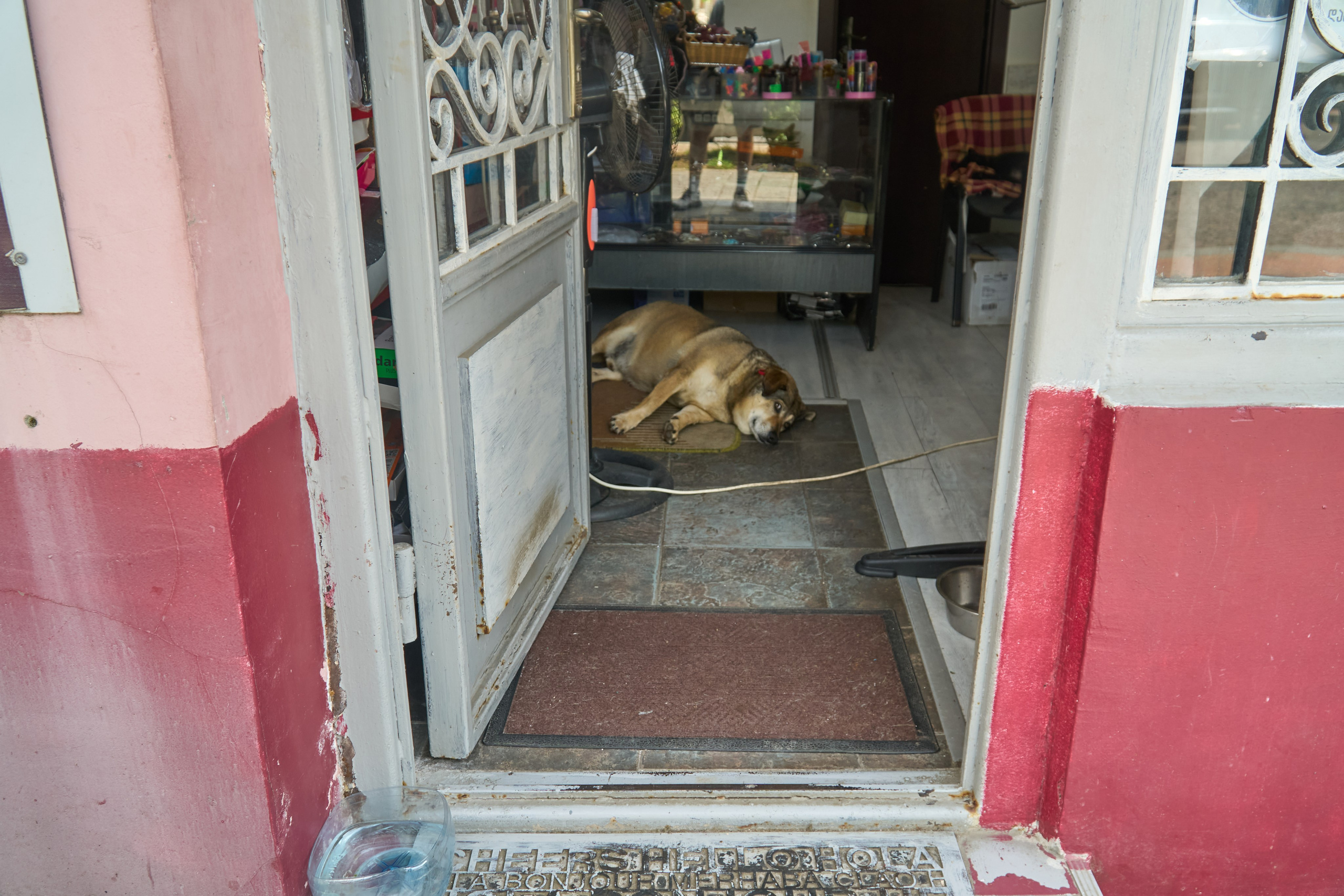 Путешествие по Грузии — фотосессия и репортаж | Филипп Линзин. Репортажный и портретный фотограф в Санкт-Петербурге Филипп Линзин