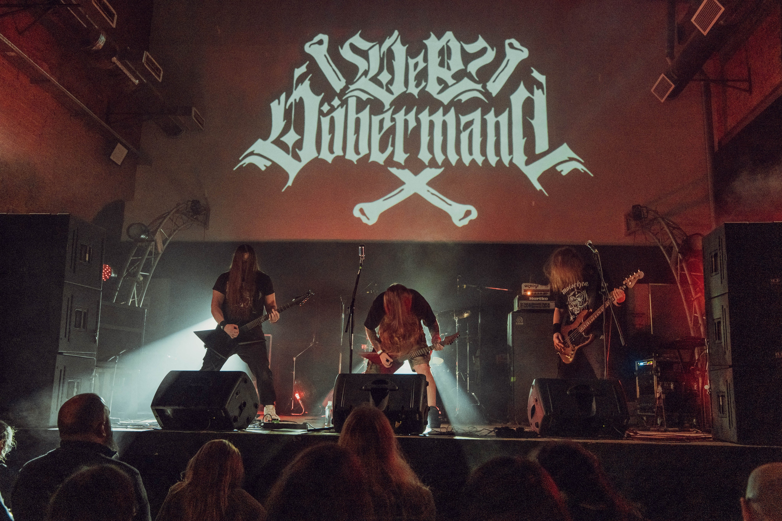 Der Döbermann 26.01.2024. Фотограф Дядя Сник