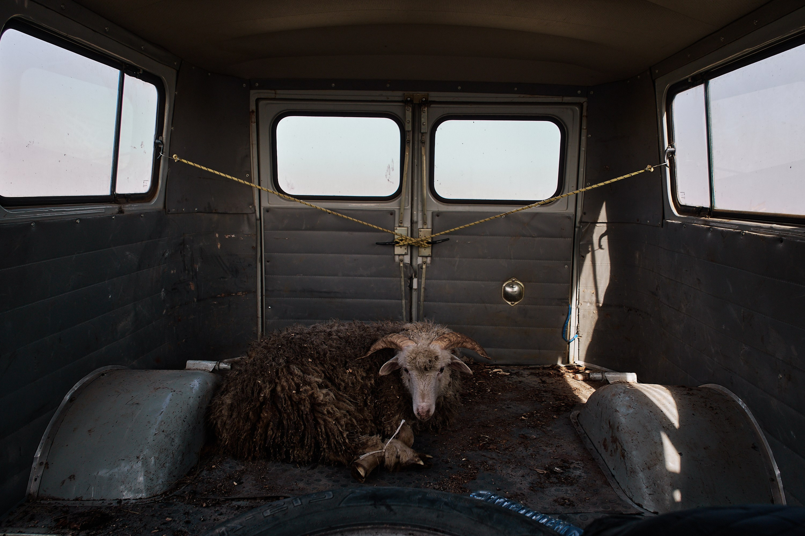 Над облаками. Алиса Северная. Визуальные исследования. Пейзажная и документальная фотография