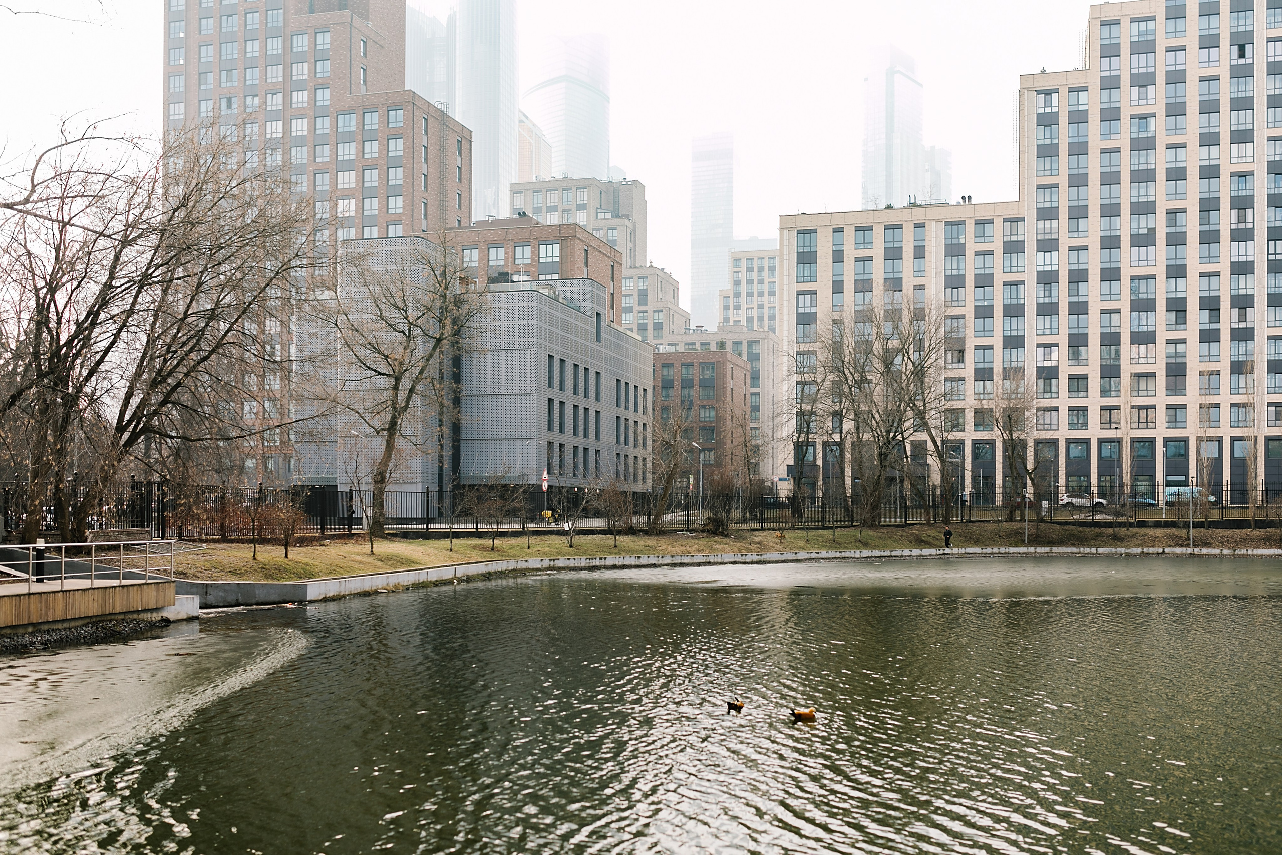 ЖК «Сити-парк». Лена Крутова. Фотограф в Москве